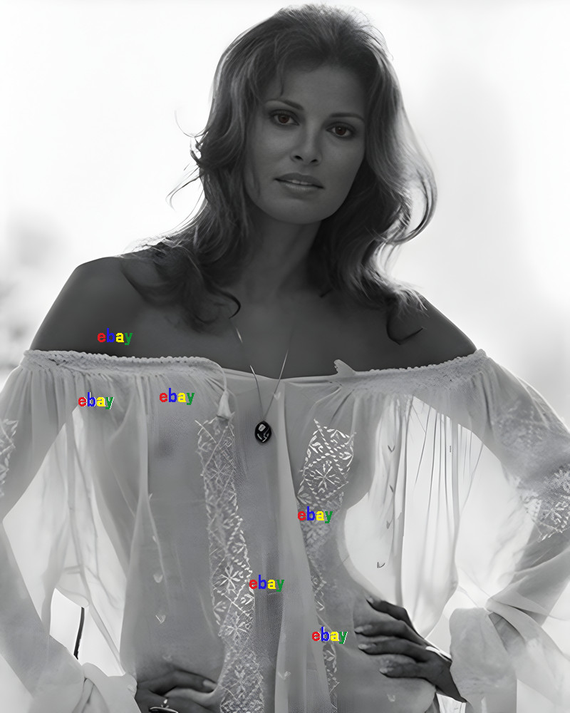 RAQUEL WELCH ACTRESS HOLLYWOOD LEGEND 8 RAQUEL WELCH ACTRESS HOLLYWOOD LEGEND 8