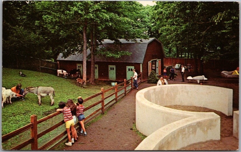 c1960s Watertown, New York Postcard THOMPSON PARK ZOO \