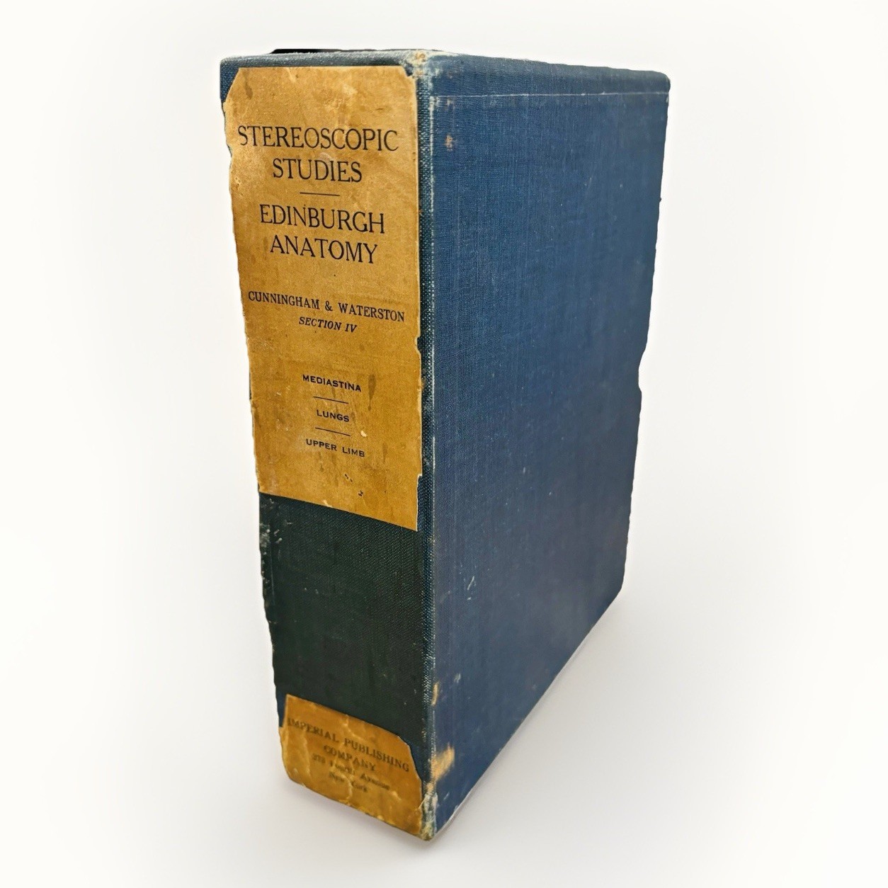 Edinburgh Stereoscopic Studies Anatomy Cunningham Waterston Section IV Lungs