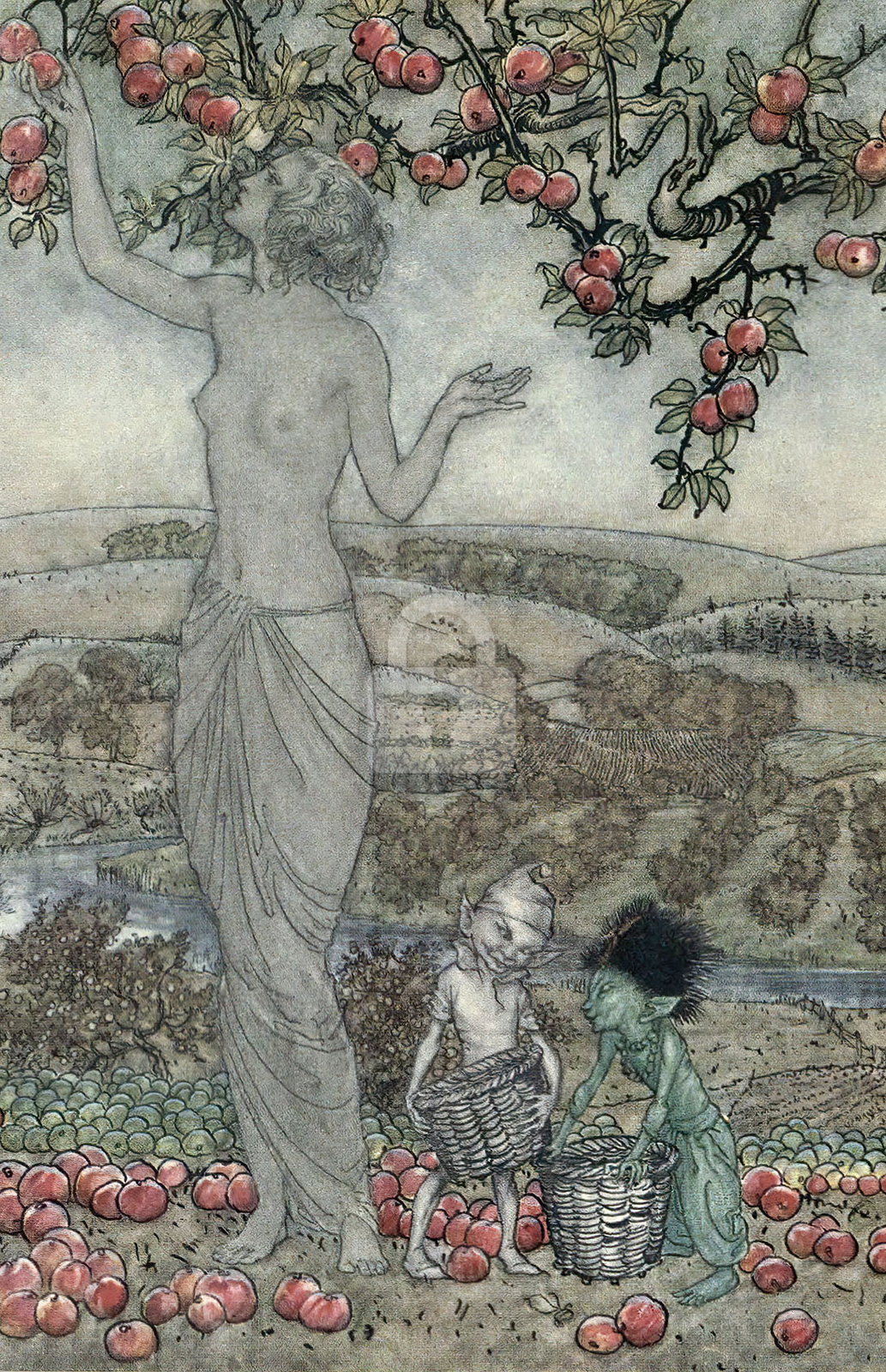 Illustration from A Dish of Apples 2, 1921, Arthur Rackham *Art Postcard* Illustration from A Dish of Apples 2, 1921, Arthur Rackham *Art Postcard*