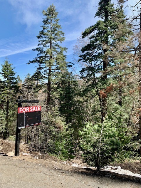 Cedarpines Park, CA Vacant Lot for Sale, Close to Lake Arrowhead, CA Cedarpines Park, CA Vacant Lot for Sale, Close to Lake Arrowhead, CA