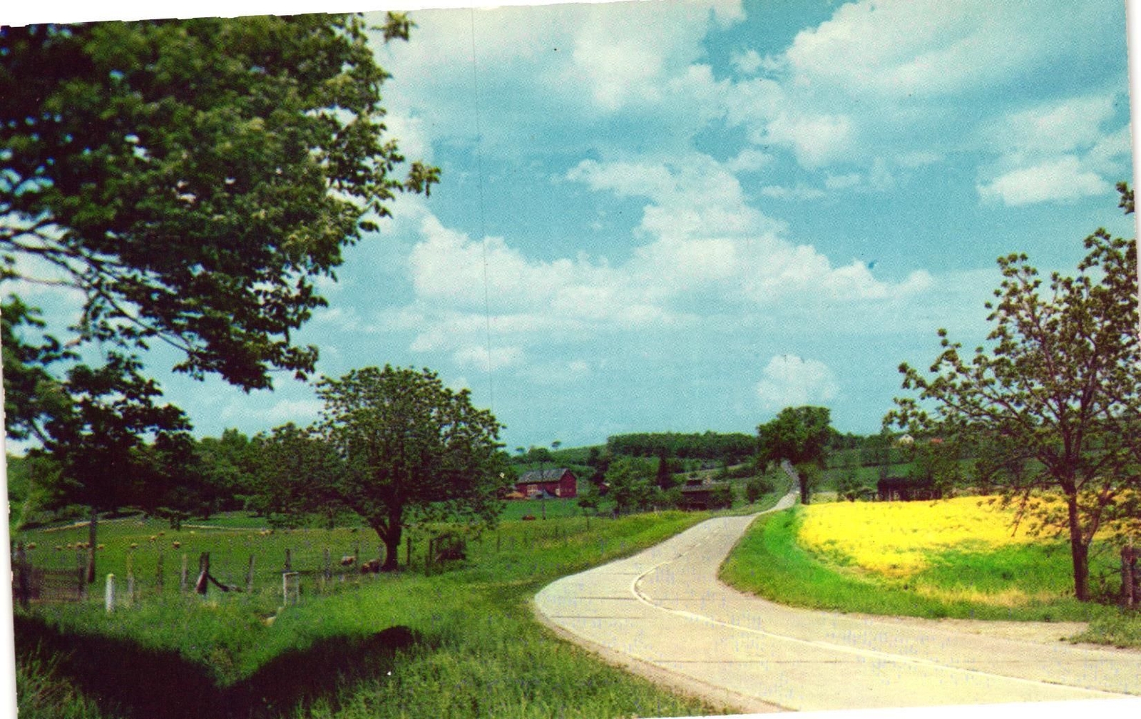 Vintage Postcard- A Picturesque Road that leads to Honeoye Lake, Honeoye, NY. Vintage Postcard- A Picturesque Road that leads to Honeoye Lake, Honeoye, NY.