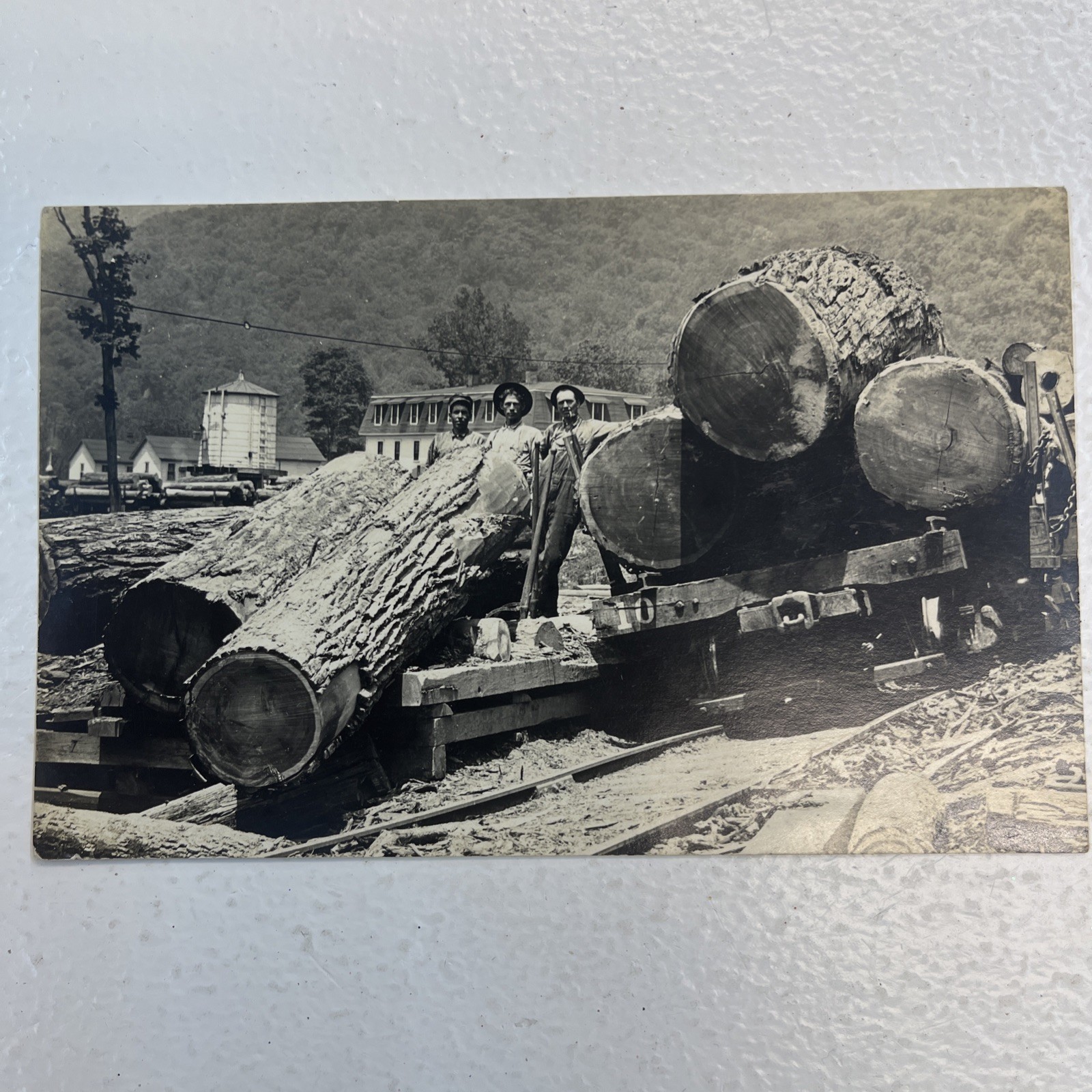 Men At The Lumbar Yard In Rainelle, W. Va Post Card 