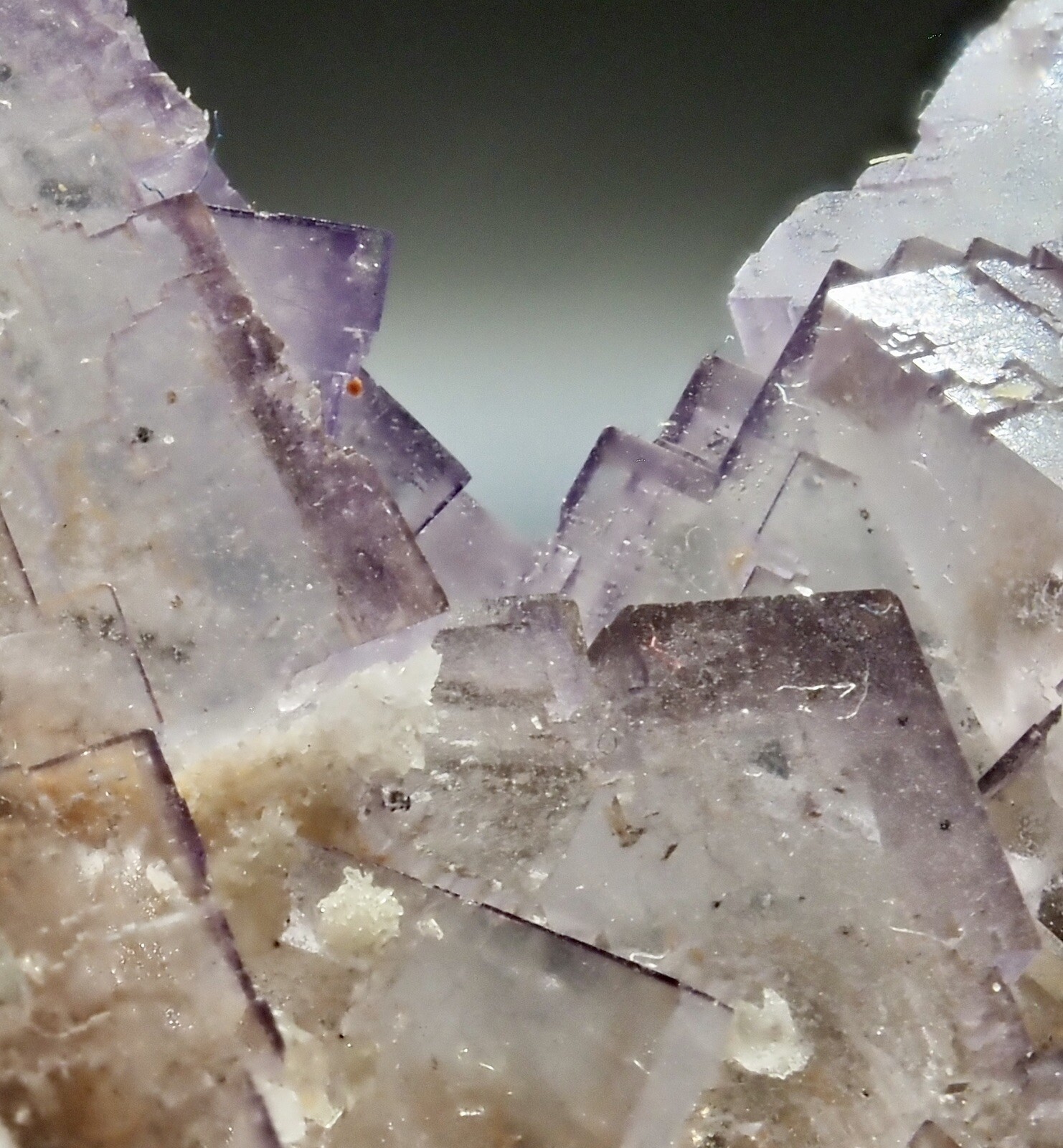 Gorgeous FLUORITE with Purple Edges *Tule Mine, Melchor Muzquiz, Mexico* Gorgeous FLUORITE with Purple Edges *Tule Mine, Melchor Muzquiz, Mexico*