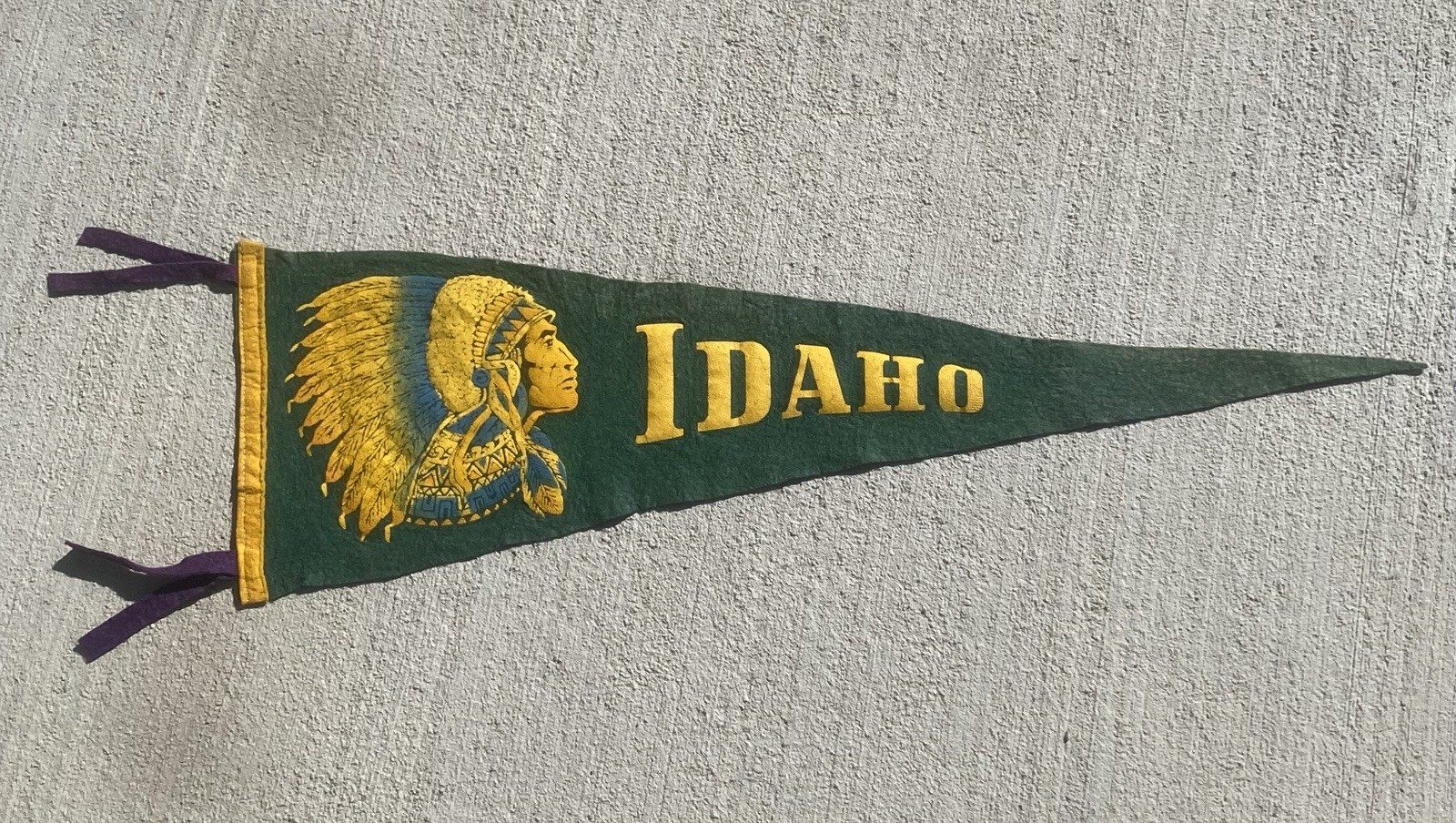 Vintage 1950’s Idaho Souvenir Felt Pennant 25” Native Chief Tourist Antique Rare Vintage 1950’s Idaho Souvenir Felt Pennant 25” Native Chief Tourist Antique Rare