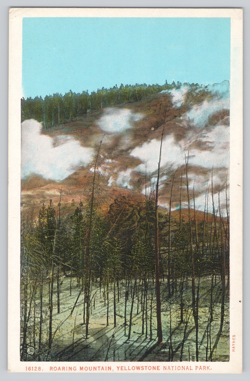 Roaring Mountain Yellowstone Park Postcard Haynes White Border Geothermal Geyser Roaring Mountain Yellowstone Park Postcard Haynes White Border Geothermal Geyser