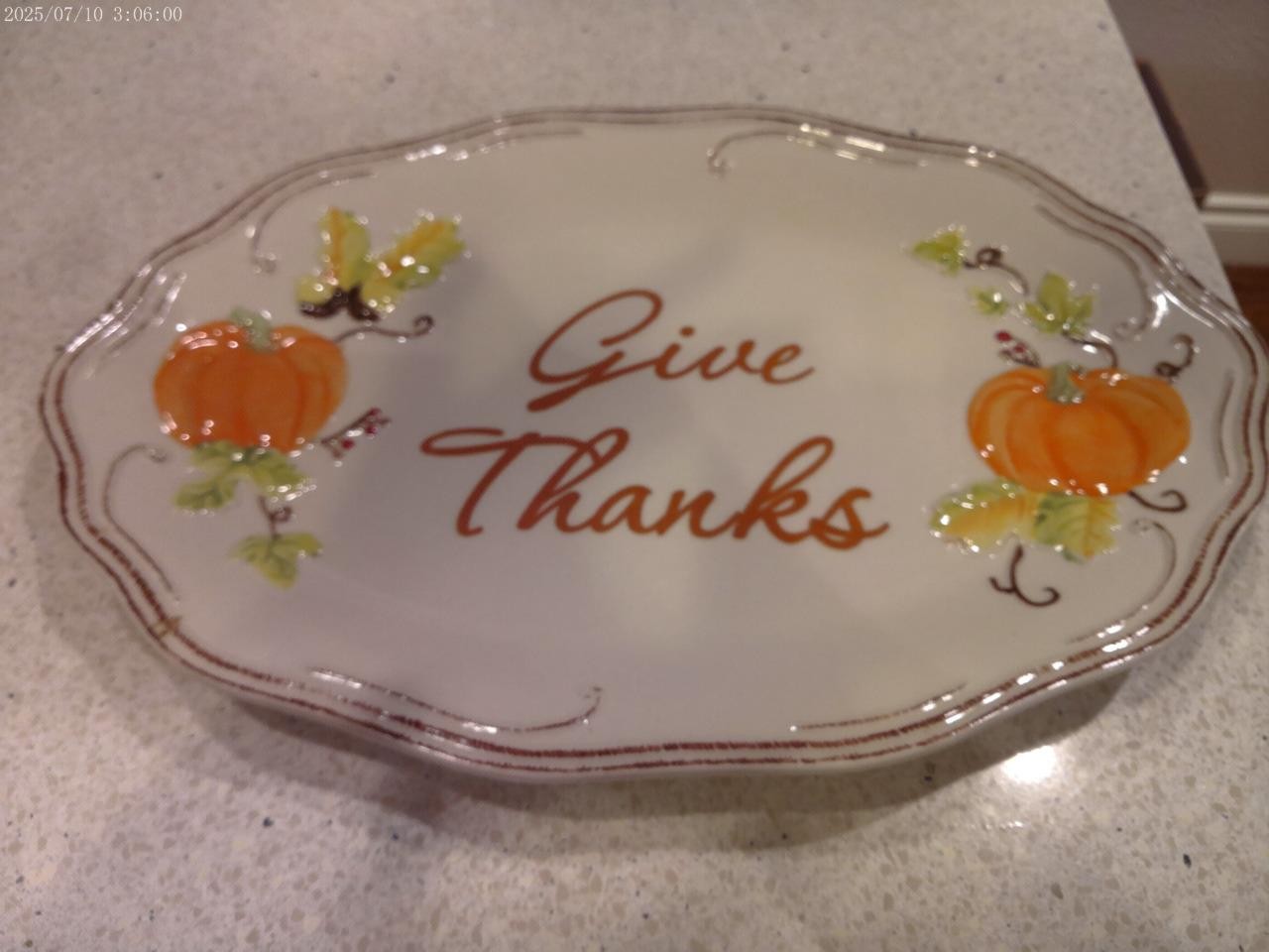 Pfaltzgraff Plymouth Thanksgiving \