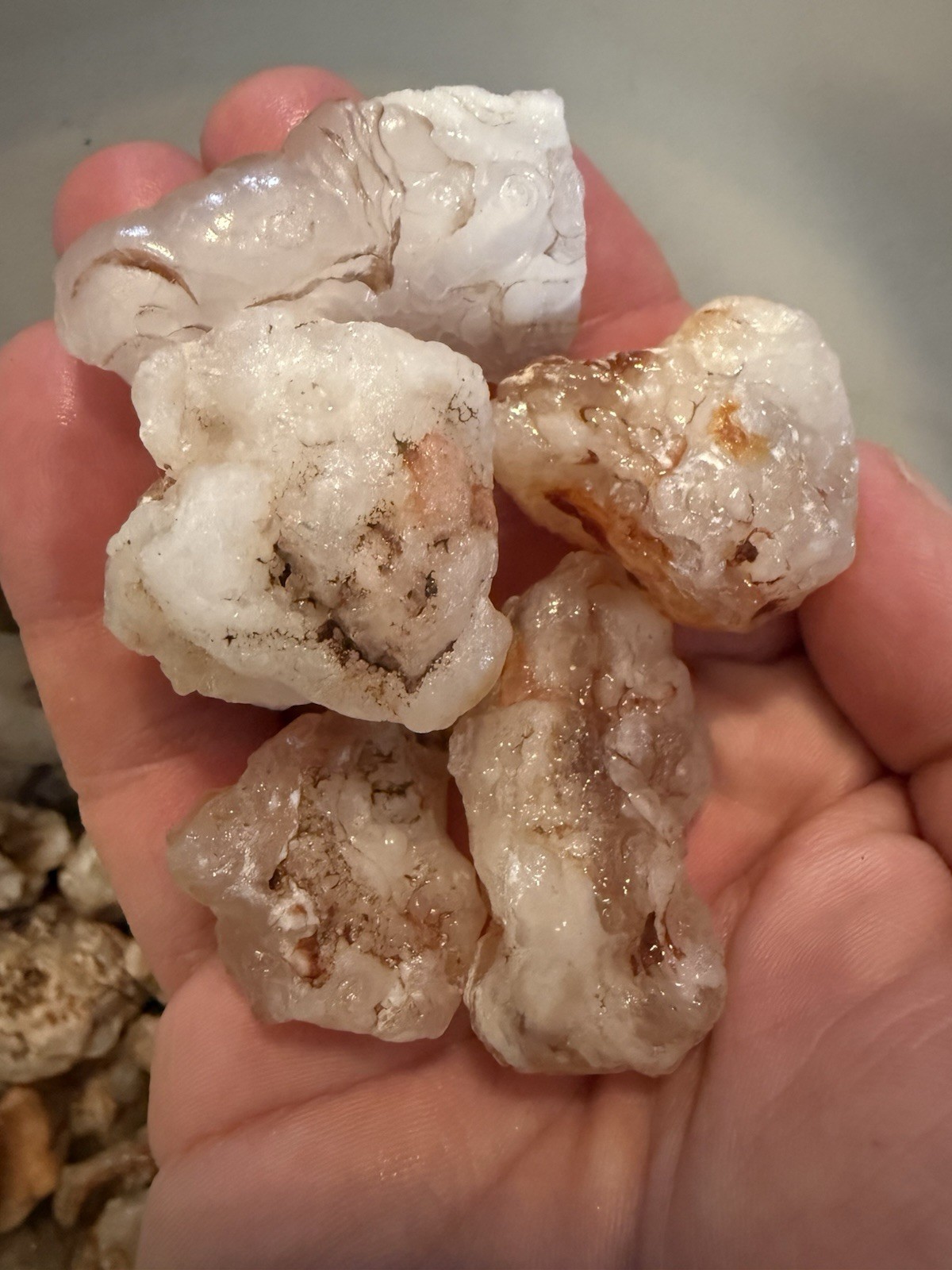 Bulk Arizona New Mexico Chalcedony Volcanic Ghost Fire Agate 1 Lbs+ Small-med. Bulk Arizona New Mexico Chalcedony Volcanic Ghost Fire Agate 1 Lbs+ Small-med.