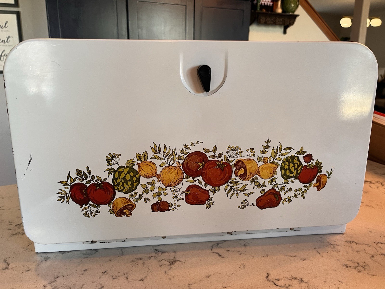 Vintage Spice Of Life Metal Bread Box CorningWare Vegetable Mushrooms Latch Door