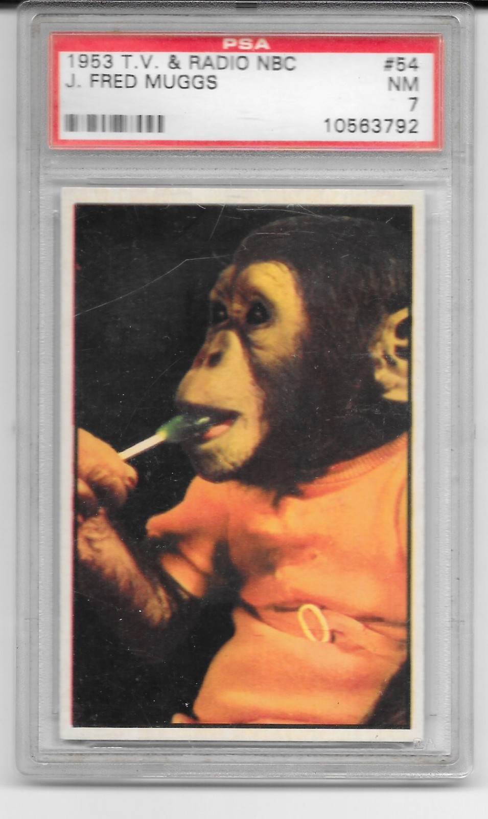 1953 Bowman NBC TV & Radio Stars J. Fred Muggs MONKEY PSA 7 RC #54 RARE Today 1953 Bowman NBC TV & Radio Stars J. Fred Muggs MONKEY PSA 7 RC #54 RARE Today