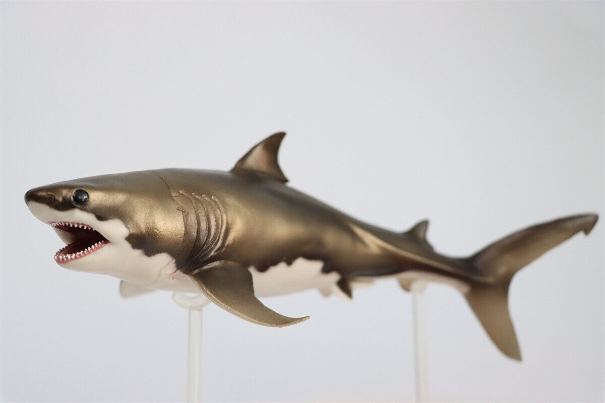 PNSO Cretoxyrhina Aidan Model Ocean Animal Shark Collector Dinosaur Decor Gift