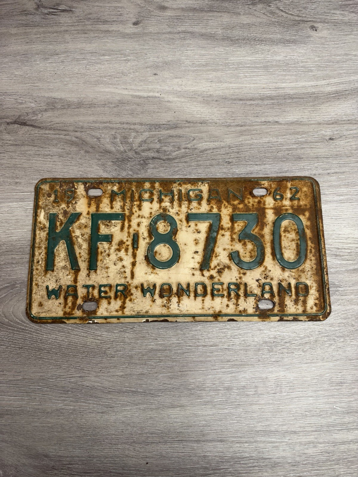 Vintage 1962 Michigan License Plate Water Wonderland Embossed Metal 6x12
