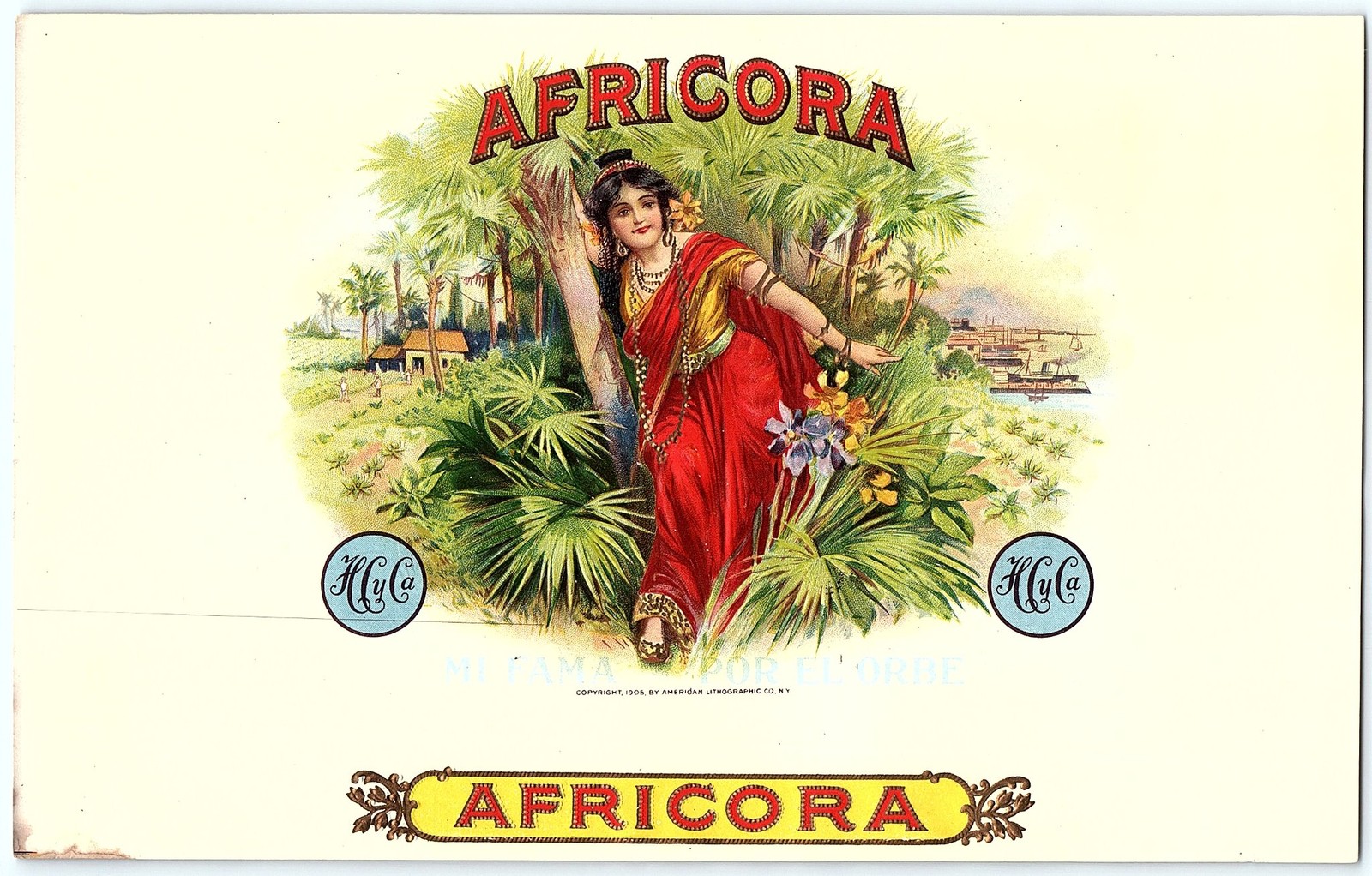 1901 AFRICORA cigar label, tropical woman, vibrant art 1901 AFRICORA cigar label, tropical woman, vibrant art