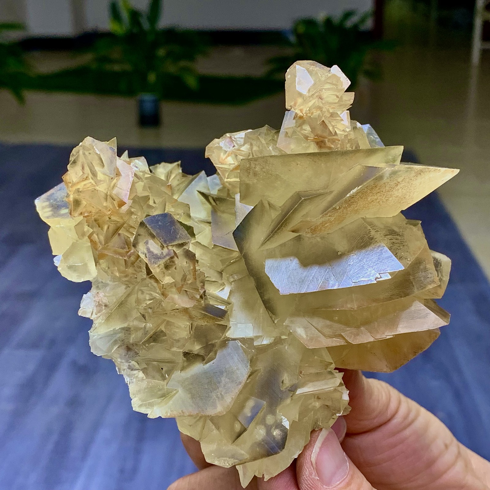 1.24LB Natural transparent yellow black calcite crystal quartz mineral sample