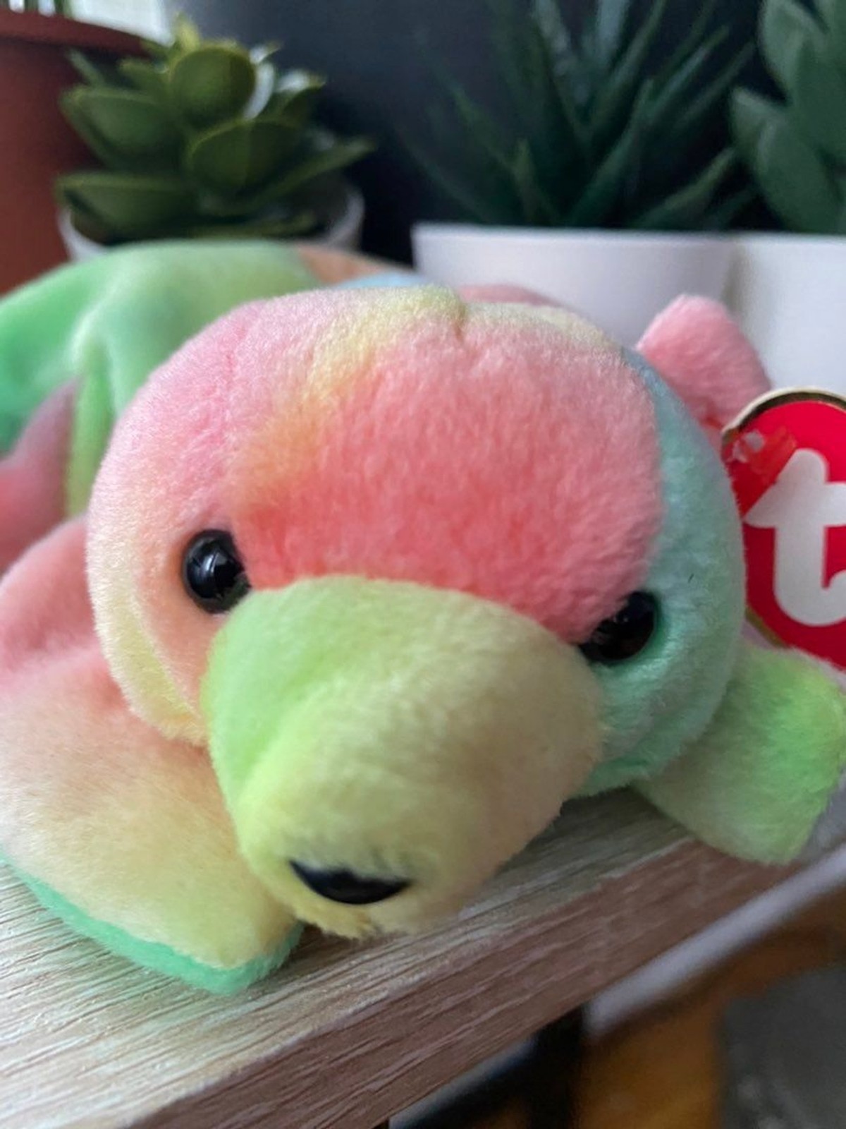 Ty Beanie Babies \