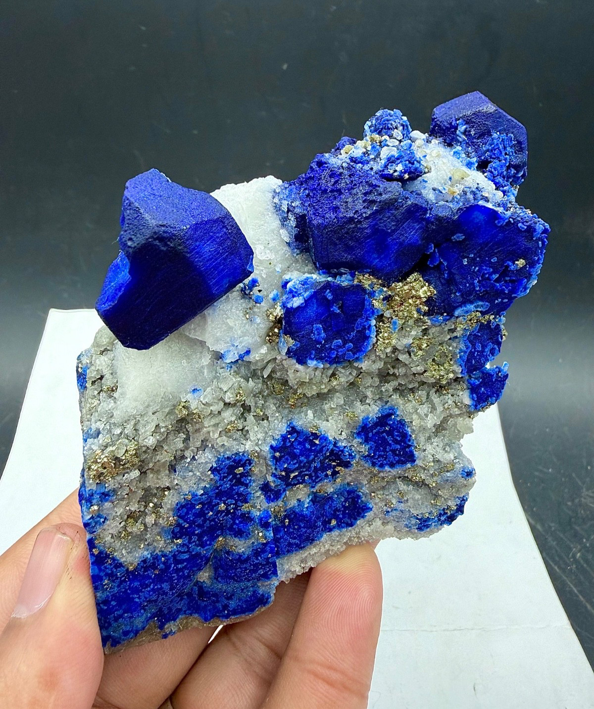 Natural Blue Lazurite With Pyrite Crystal On Matrix Specimen 1515 CTS @ Minerals