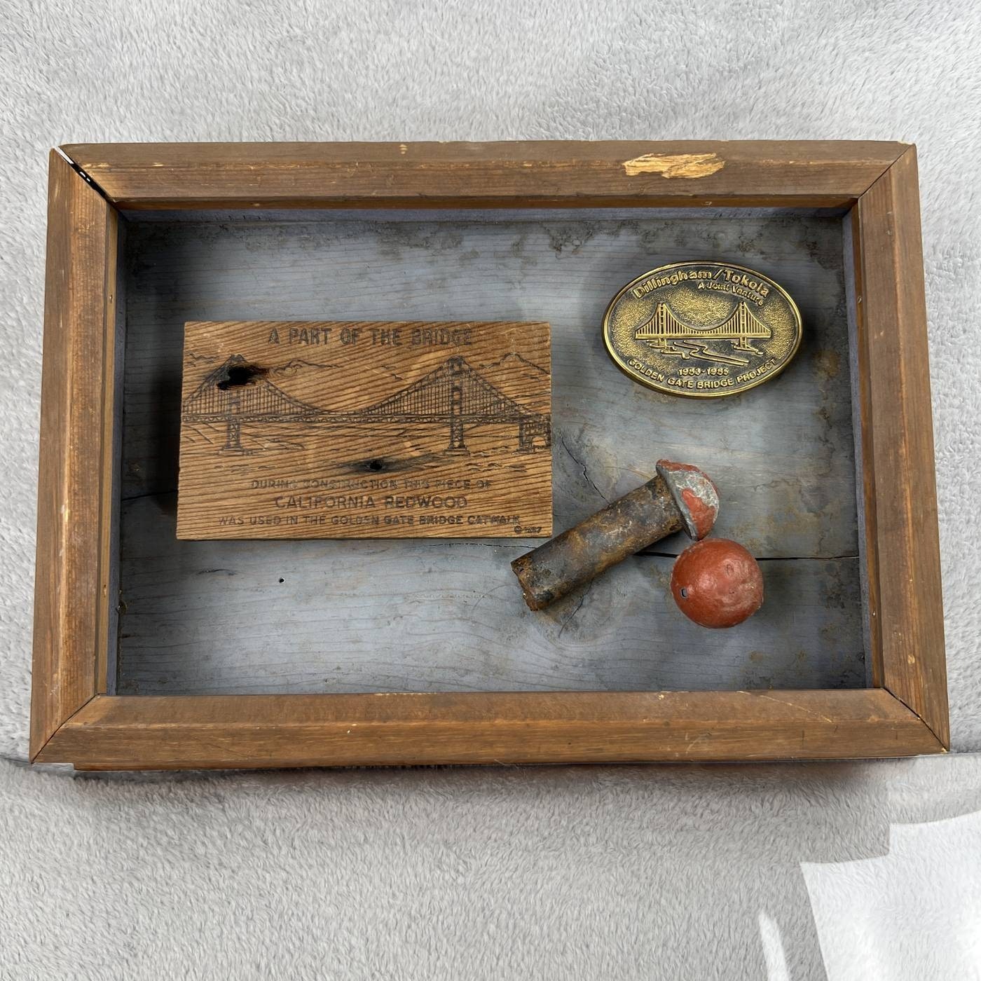 Vtg 1937 Golden Gate Bridge Catwalk Redwood Rivet 1983 Buckle Shadow Box Display