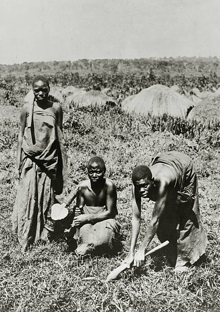 Usoga women working in the fields with hoeing sticks in 1920 OLD PHOTO Usoga women working in the fields with hoeing sticks in 1920 OLD PHOTO