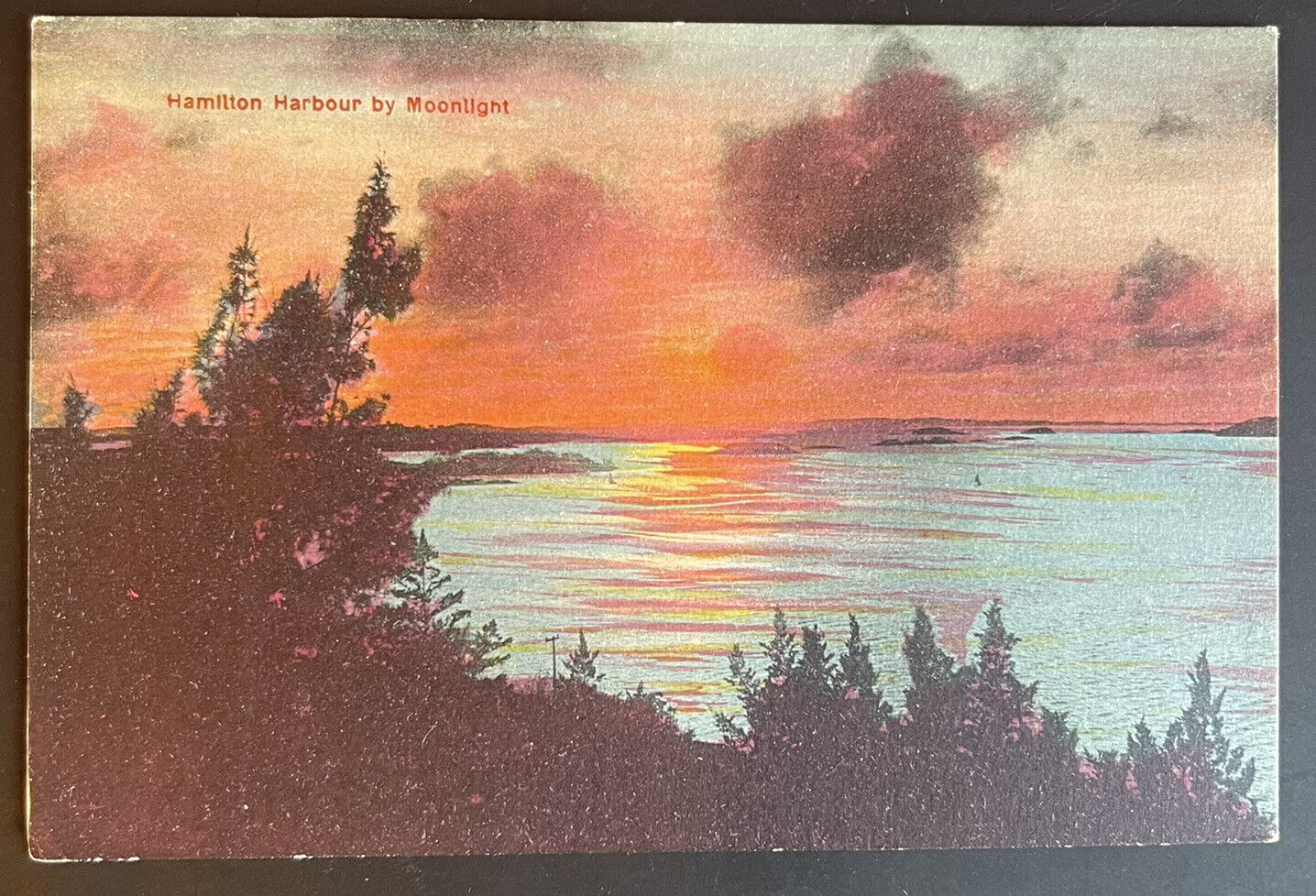 Hamilton Harbour Bermuda By Moonlight Vtg Postcard Sunset 