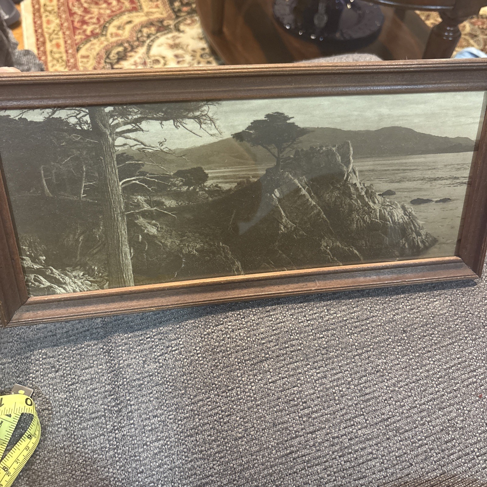 Antique Lone Cypress Monterey California  Framed 14 x 7