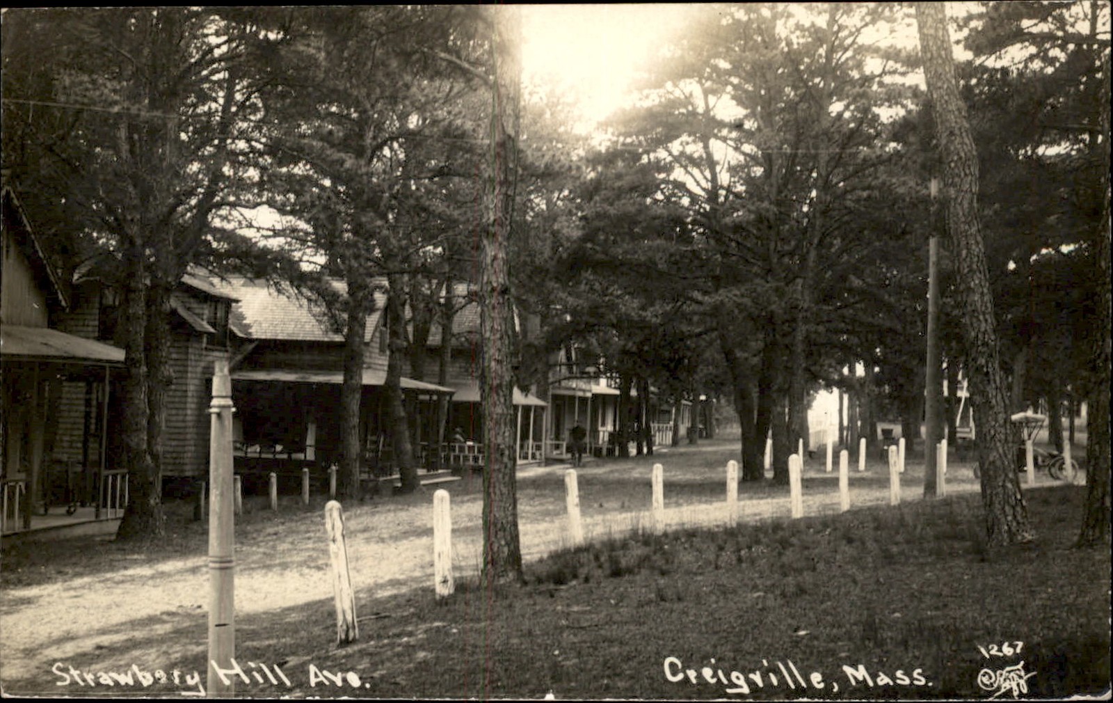Craigville MA Strawberry Hill Ave. c1909 Real Photo Vintage Postcard Craigville MA Strawberry Hill Ave. c1909 Real Photo Vintage Postcard