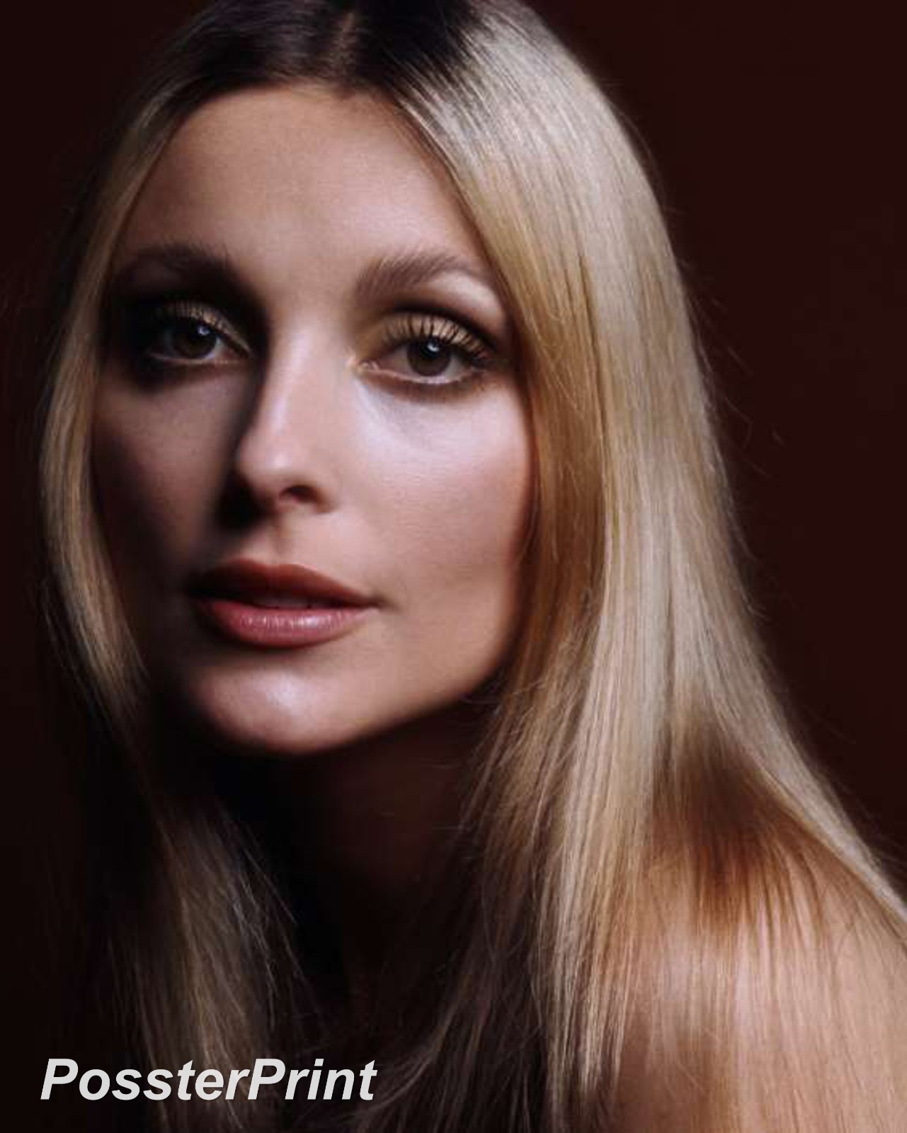 SHARON TATE - Classic Film Actress 💜 8x10 Publicity Photo - Studio Portrait