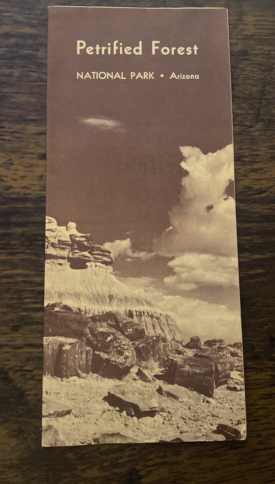Vintage 1963 Petrified Forest Arizona National Park Travel Brochure