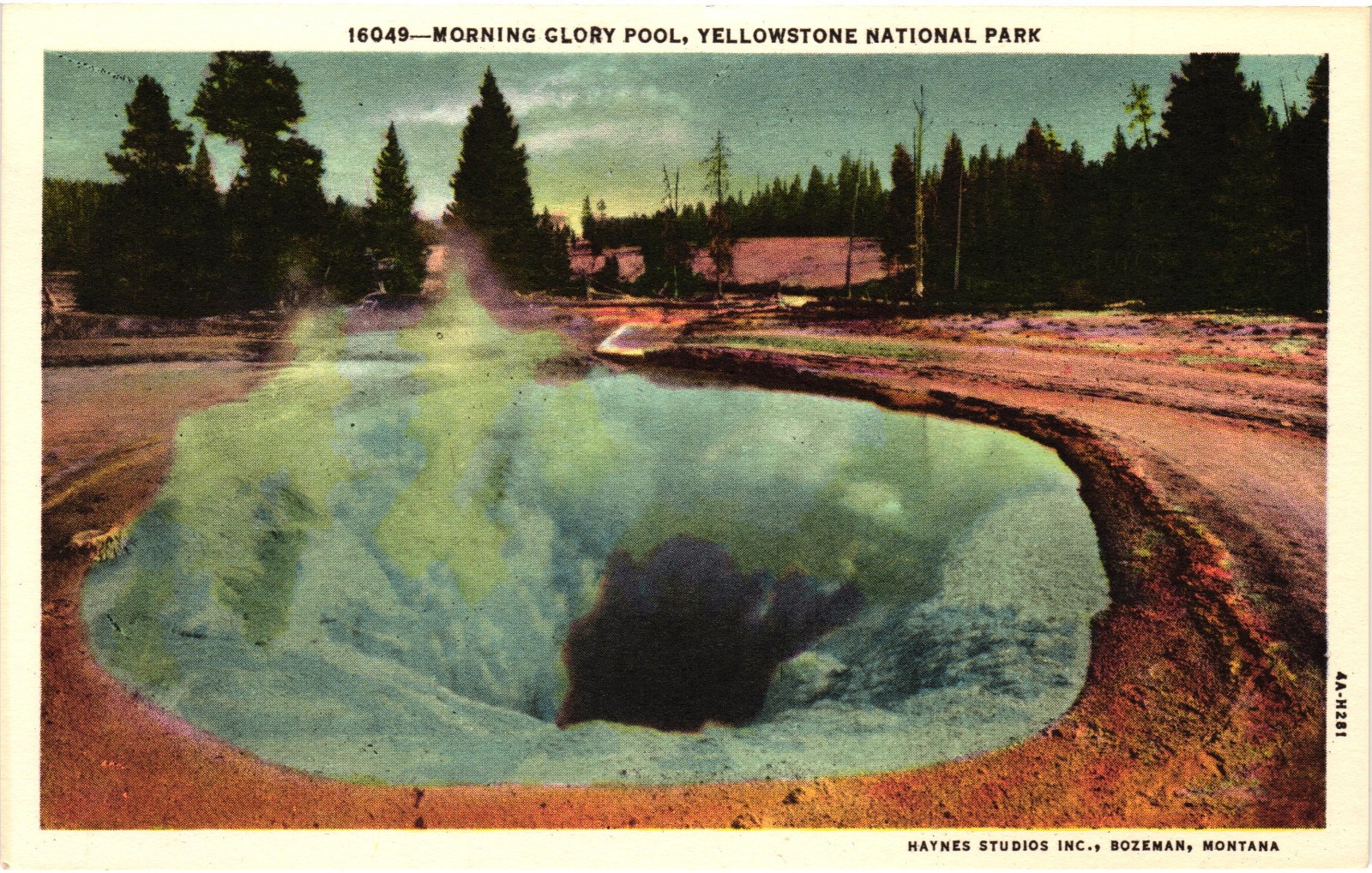 intage Morning Glory Pool Yellowstone National Park Haynes Postcard Unused