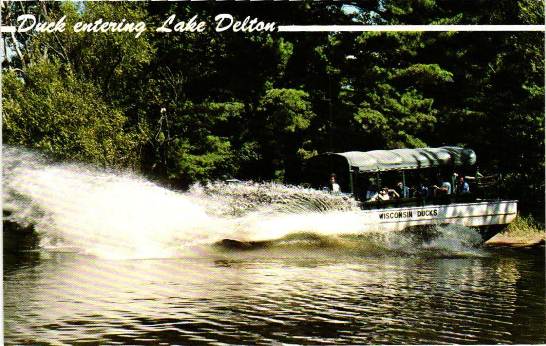 Duck Entering Lake Delton Wisconsin Dells Wisconsin Postcard