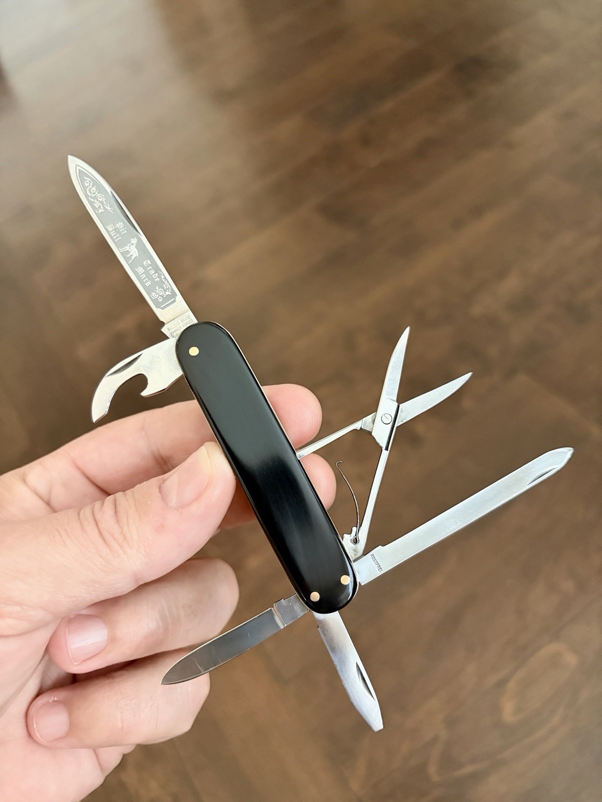 Mint - BULLDOG BRAND “Pitbull” Etched Blade Pocket Knife In Black Buffalo Horn