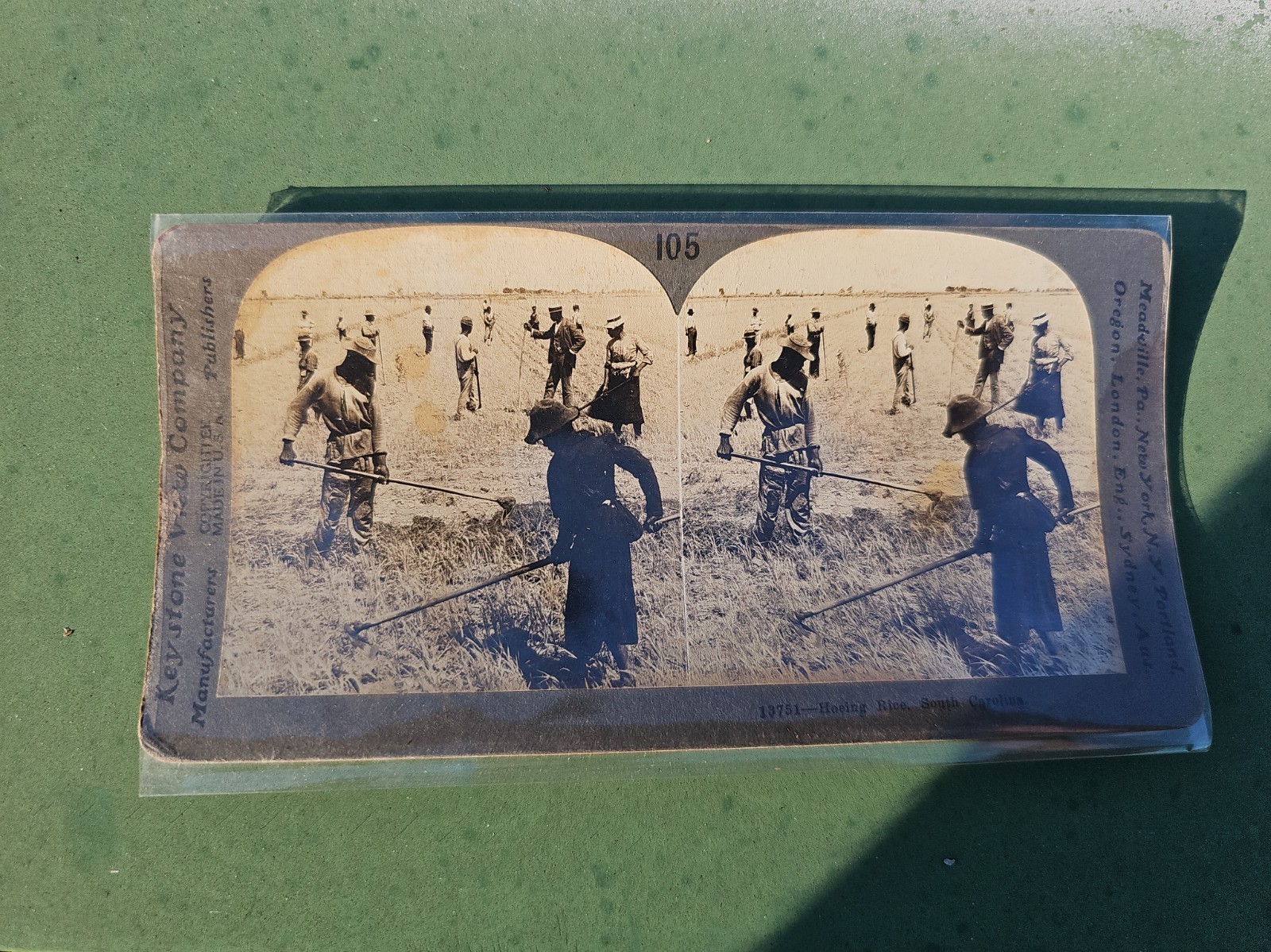 Antique 1904 Stereoview Card Hoeing Rice South Carolina Keystone 13751