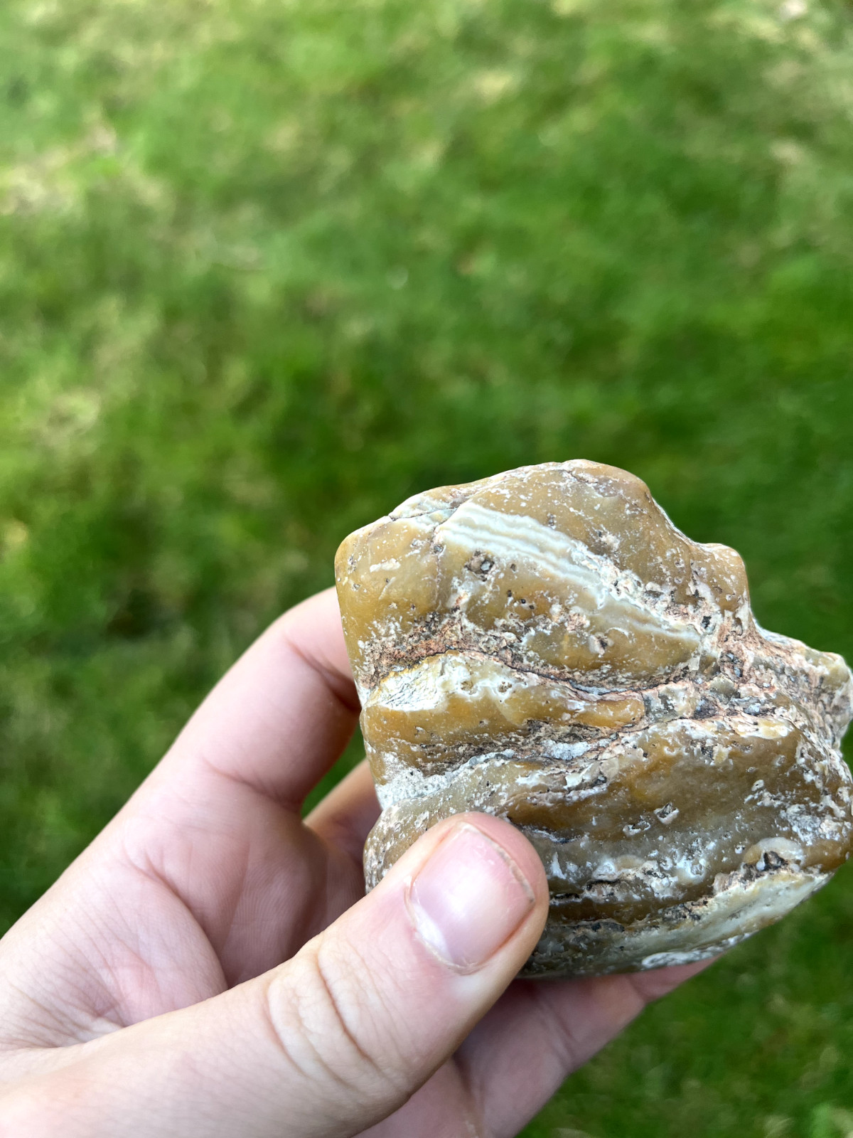 Fairburn Agate from Red Shirt, SD. Large size, decent banding / Caramel + White