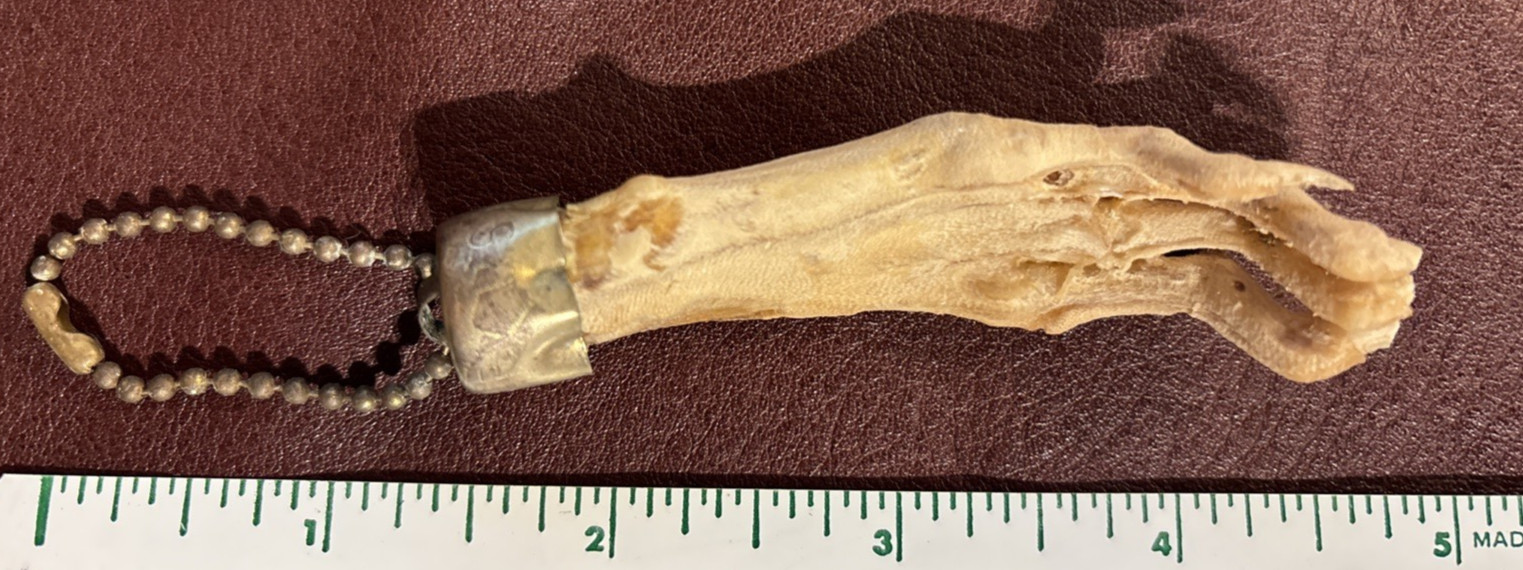 Rare Vintage Creepy Lucky Charm Rabbits Skeletal/Bony Foot Keychain