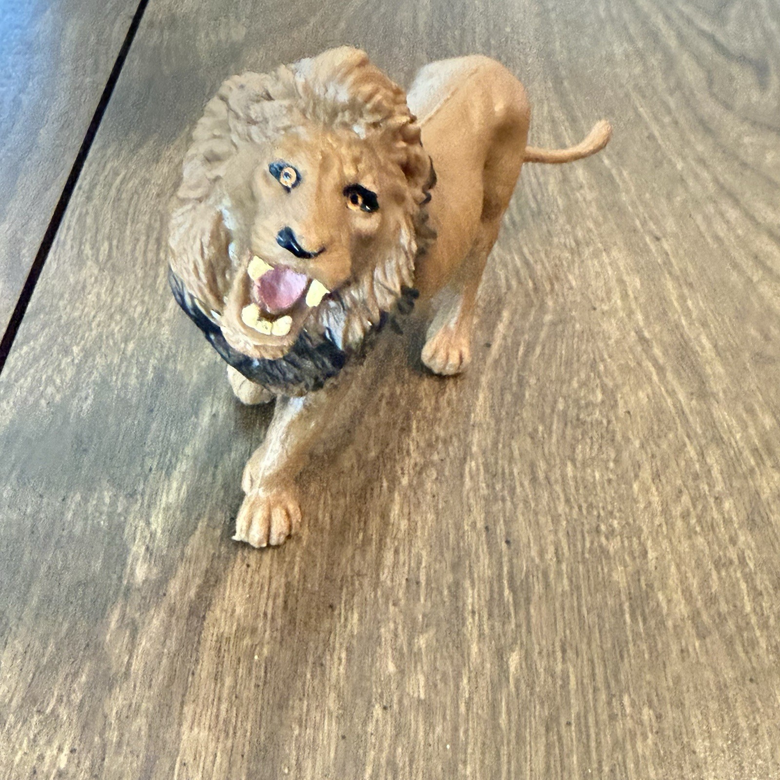 Lion Lion