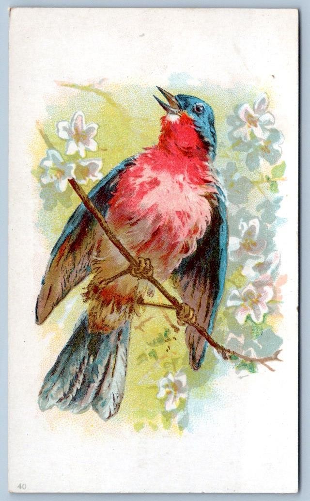 WILLIAMSONS DRUG STORE FREDERICK MD WRIGHT\'S INDIAN PILL VICTORIAN TRADE CARD #6