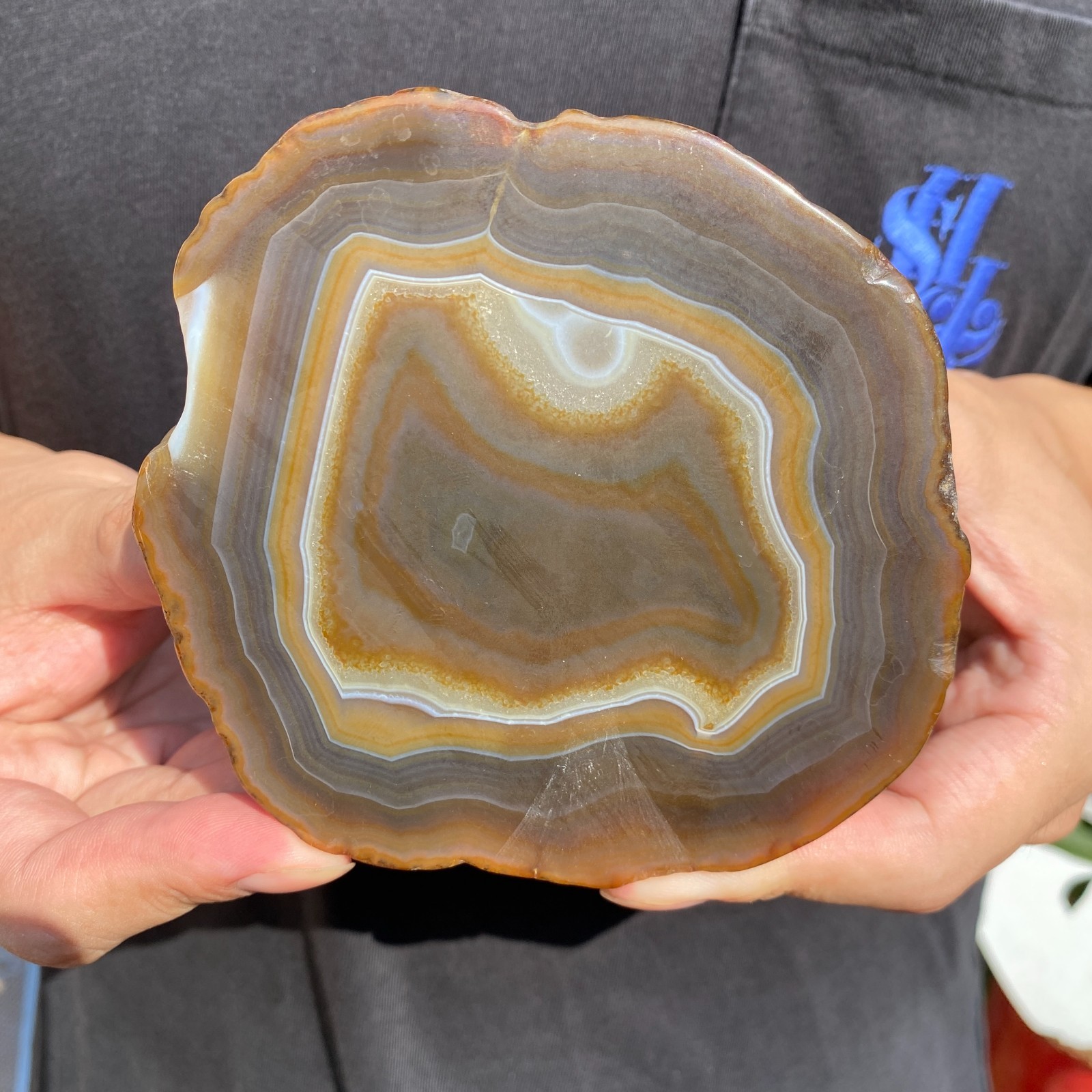 0.58lb Natural striped agate quartz crystal slice rough mineral specimen