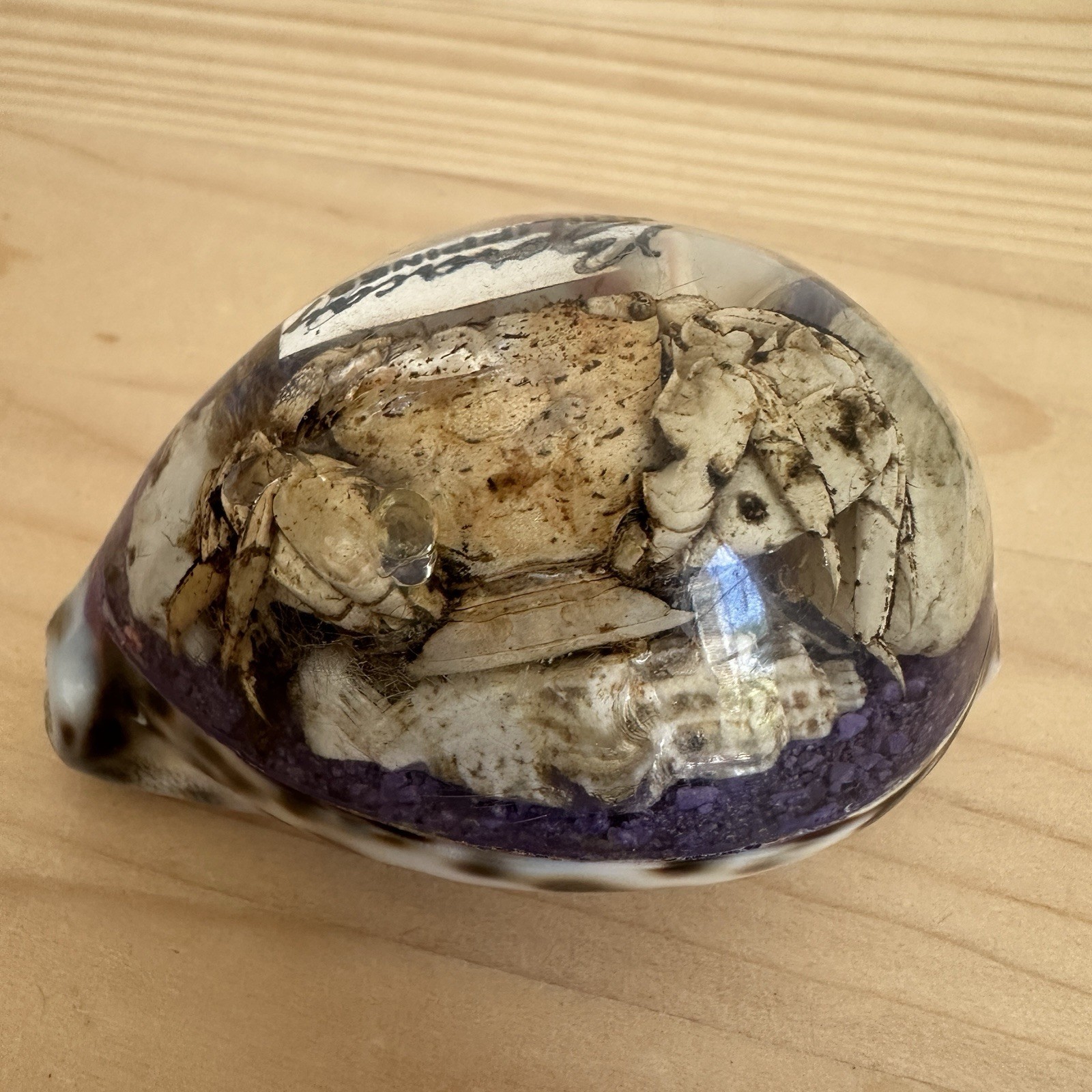Vintage Bora City Philippines Souvenir 3.25 Inch Crab Resin Acrylic Conch Shell Vintage Bora City Philippines Souvenir 3.25 Inch Crab Resin Acrylic Conch Shell