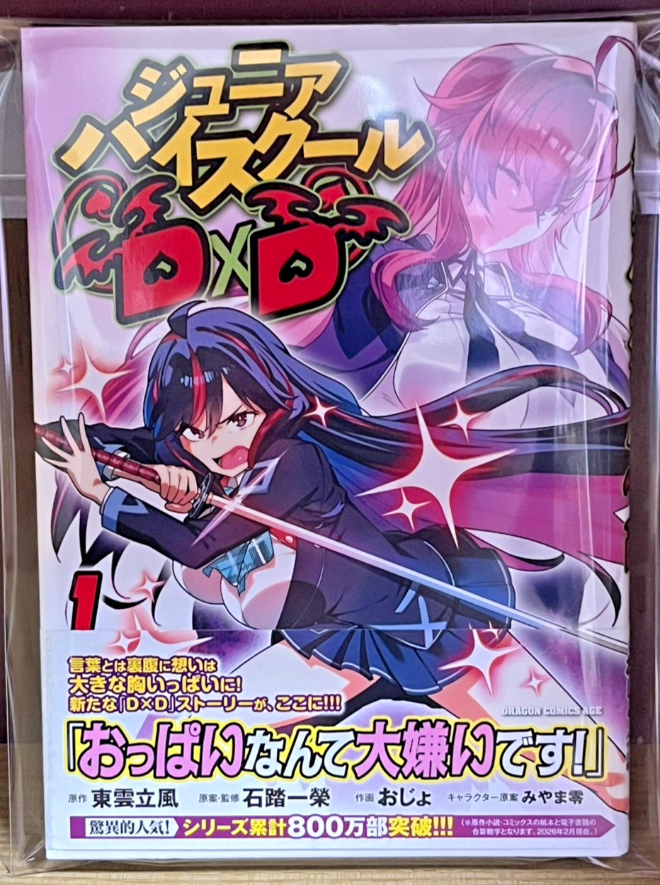OBI / 1st Print Edition Jr High School DxD Vol.1 Japanese Manga Very Rare 2026