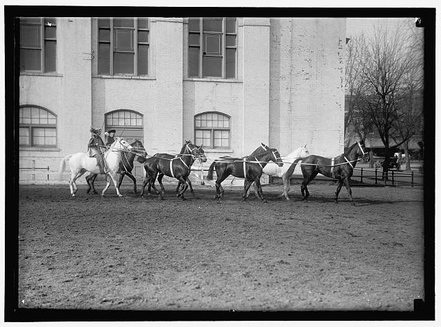 Photo:Society Circus Horses Riders 1910s Entertainment United States