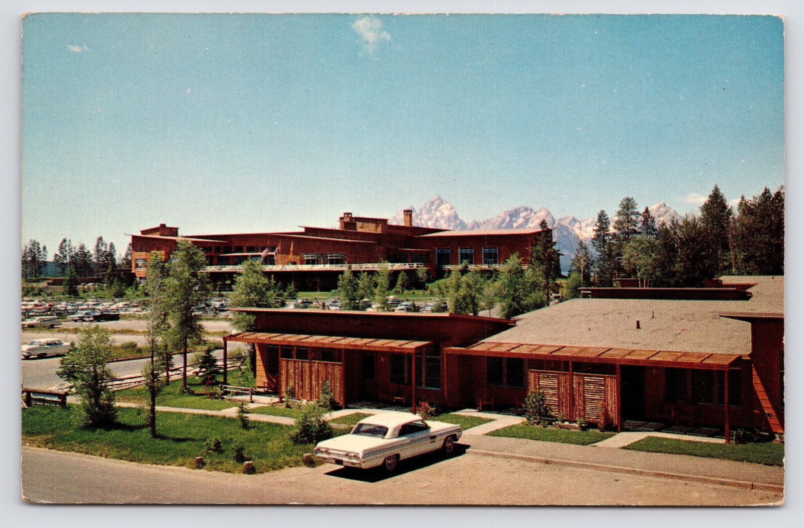 c1960s~Jackson Lake Lodge~Cottages~Grand Teton National Park~Hotel~VTG Postcard