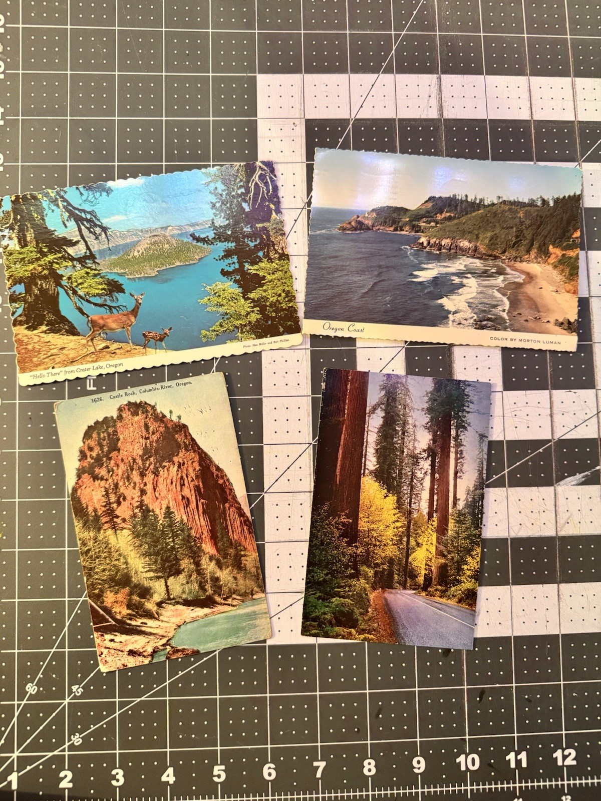 Vantage & Antique Oregon Postcards