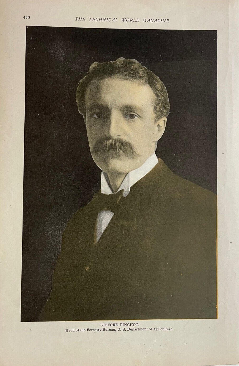 1907 Vintage Magazine Illustration Gifford Pinchot American Forester 1907 Vintage Magazine Illustration Gifford Pinchot American Forester
