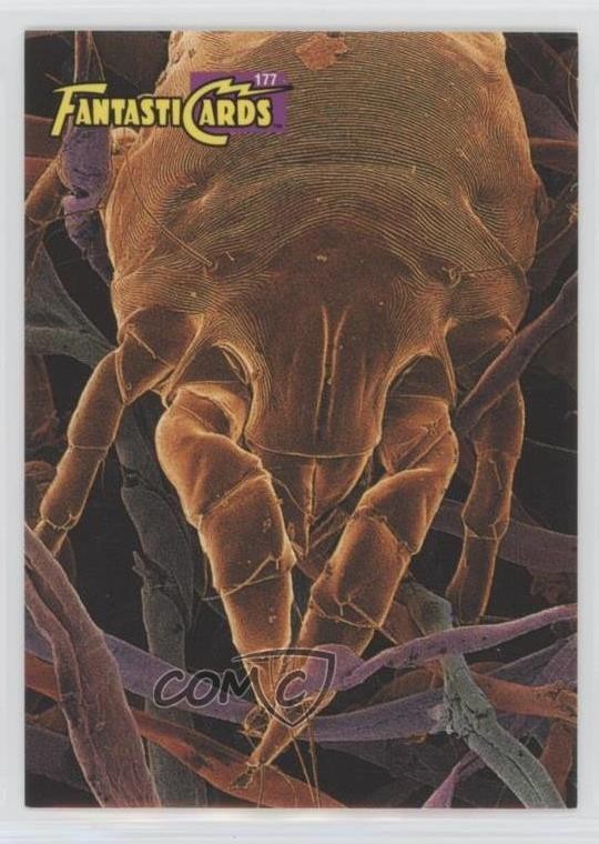 1993 Educational Insights FantastiCards House-Dust Mite #177 d8k