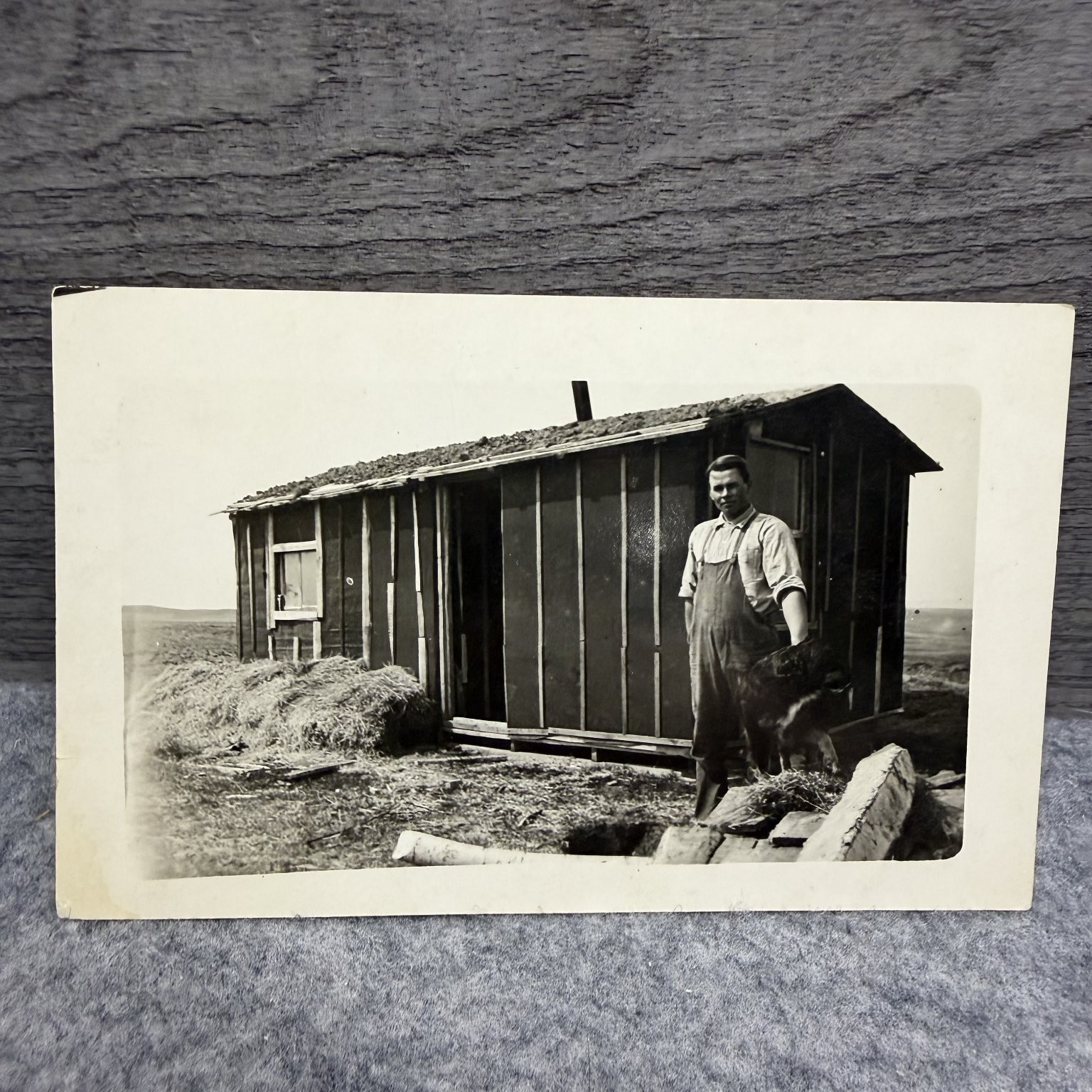 Vintage RPPC Sod Cabin Man Dog Hay Rustic Farm Building Rural Real Photo Vintage RPPC Sod Cabin Man Dog Hay Rustic Farm Building Rural Real Photo