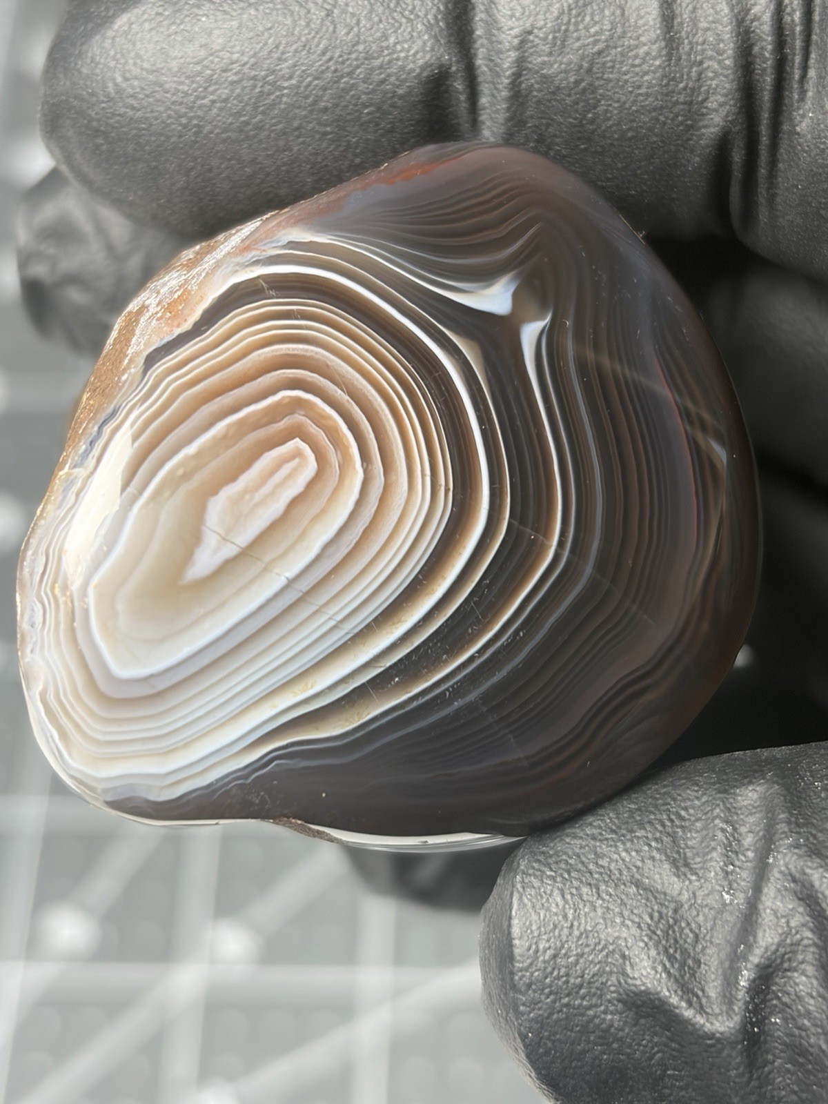 Botswana Agate Dome Polished Specimen Great Banding Botswana Agate Dome Polished Specimen Great Banding