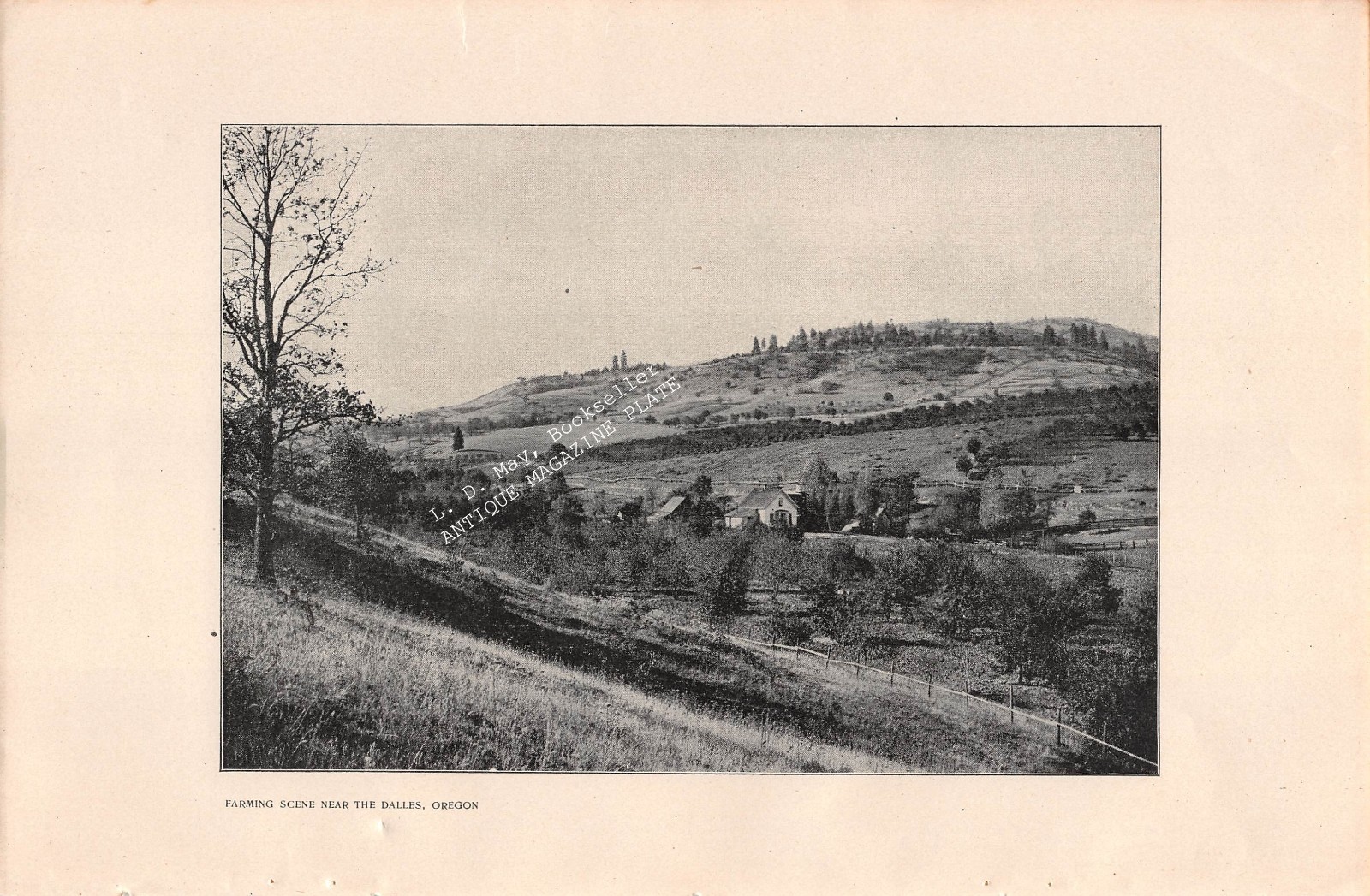 1902 THE DALLES OR OREGON Farming Scene antique ILLUSTRATION from photograph