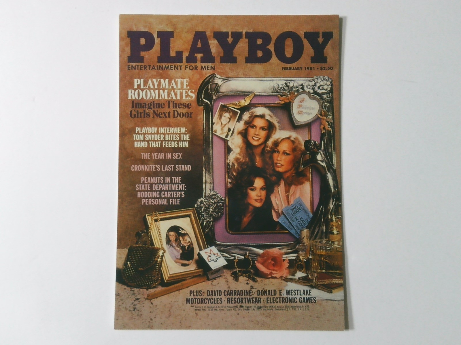 1998 Playboy Centerfold Collector Card Japanese February 1981 #82 Welles Loving