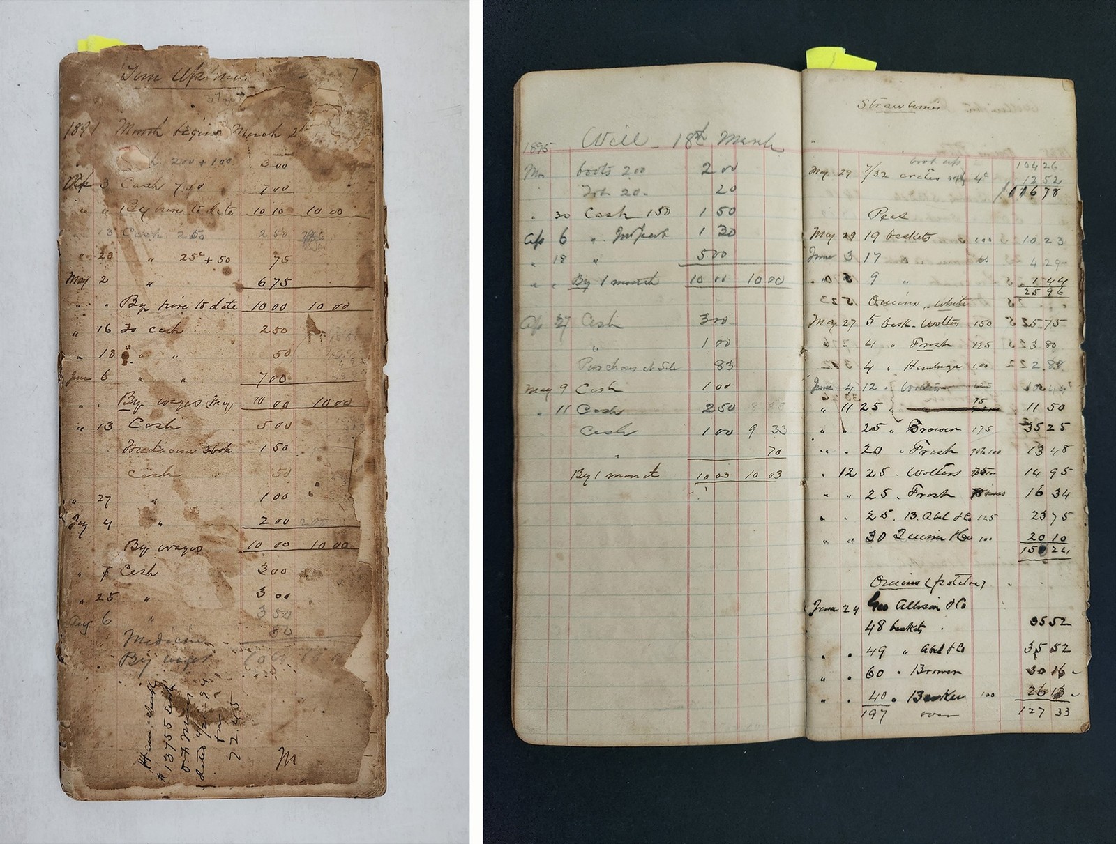 1891-1902 antique WELLINGTON FARM powhatan va LEDGER produce sales wages book
