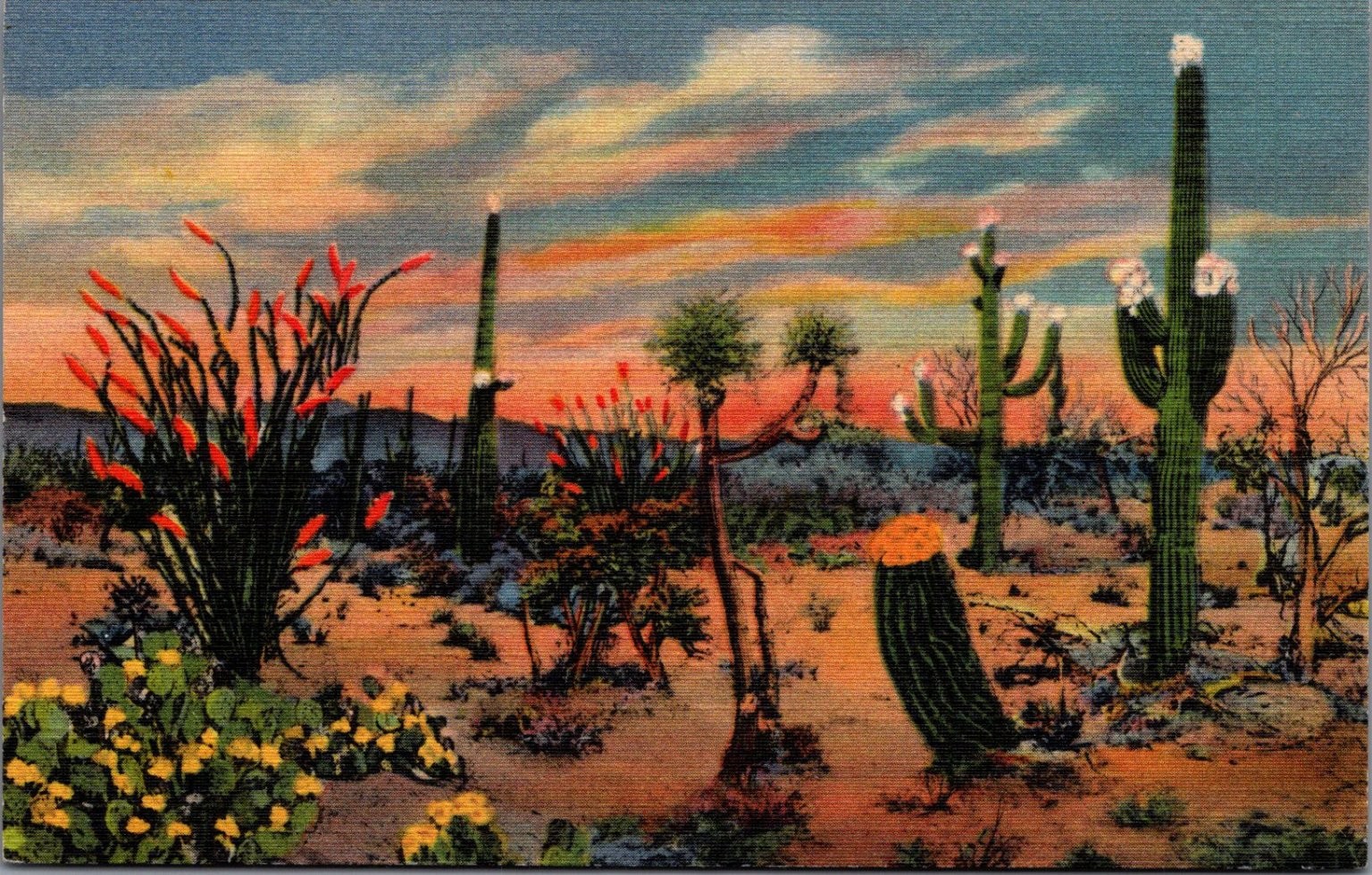 Daybreak on the Desert Arizona Curteich C.T. Art-Colortone Postcard Daybreak on the Desert Arizona Curteich C.T. Art-Colortone Postcard