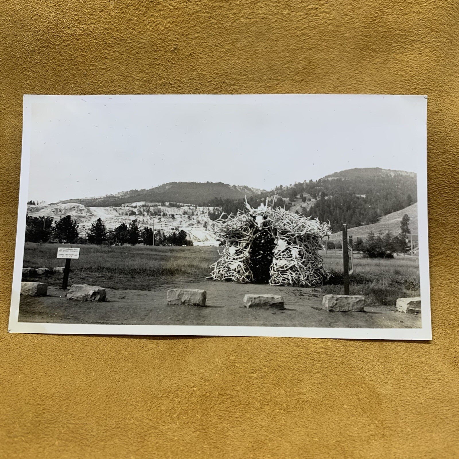 Yellowstone Mammoth House of Elk Antlers Photo Wyoming 1930s Picture Black White